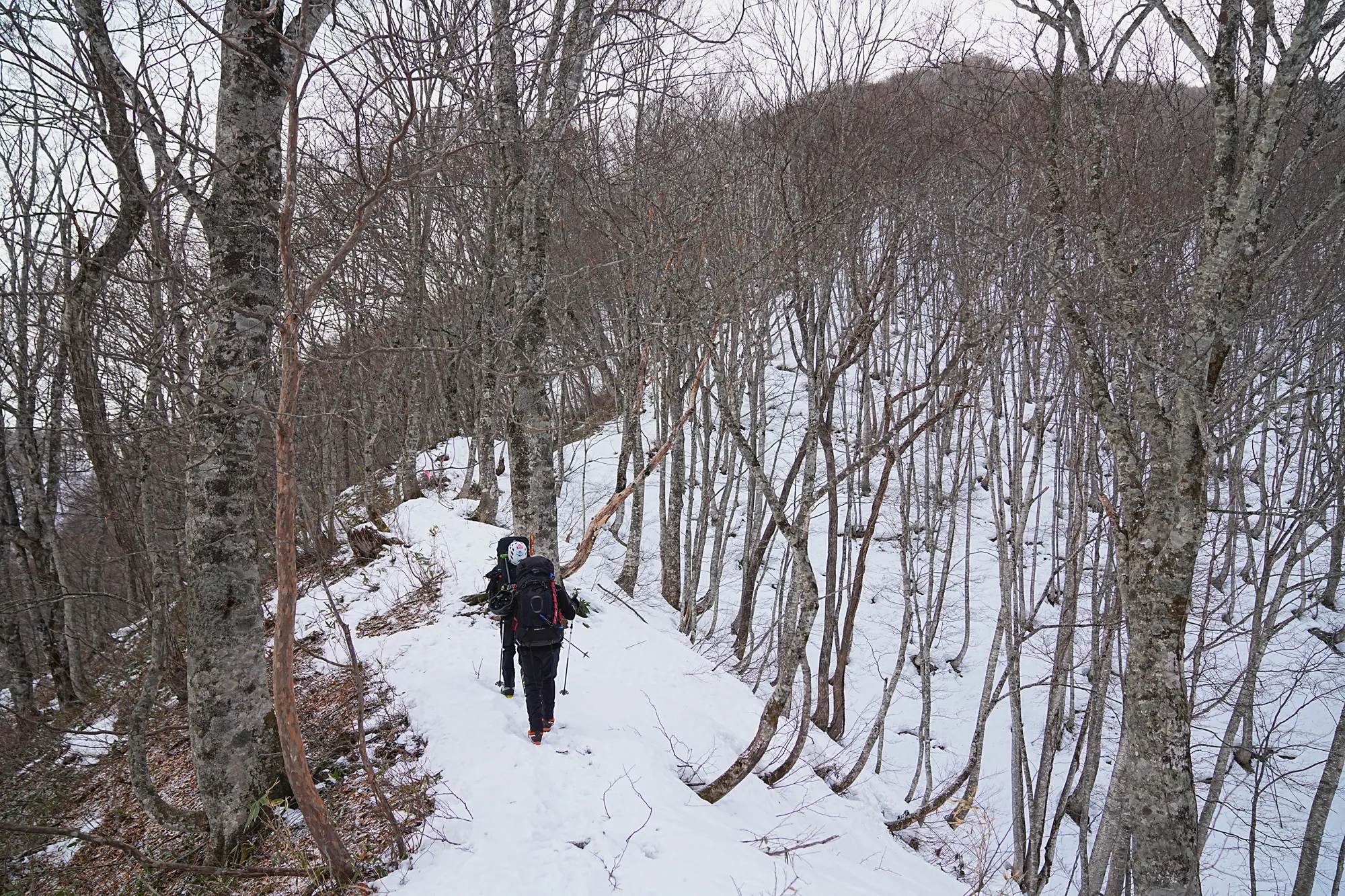 爺ヶ岳の冬季バリエーション「東尾根」で雪上テント泊！
