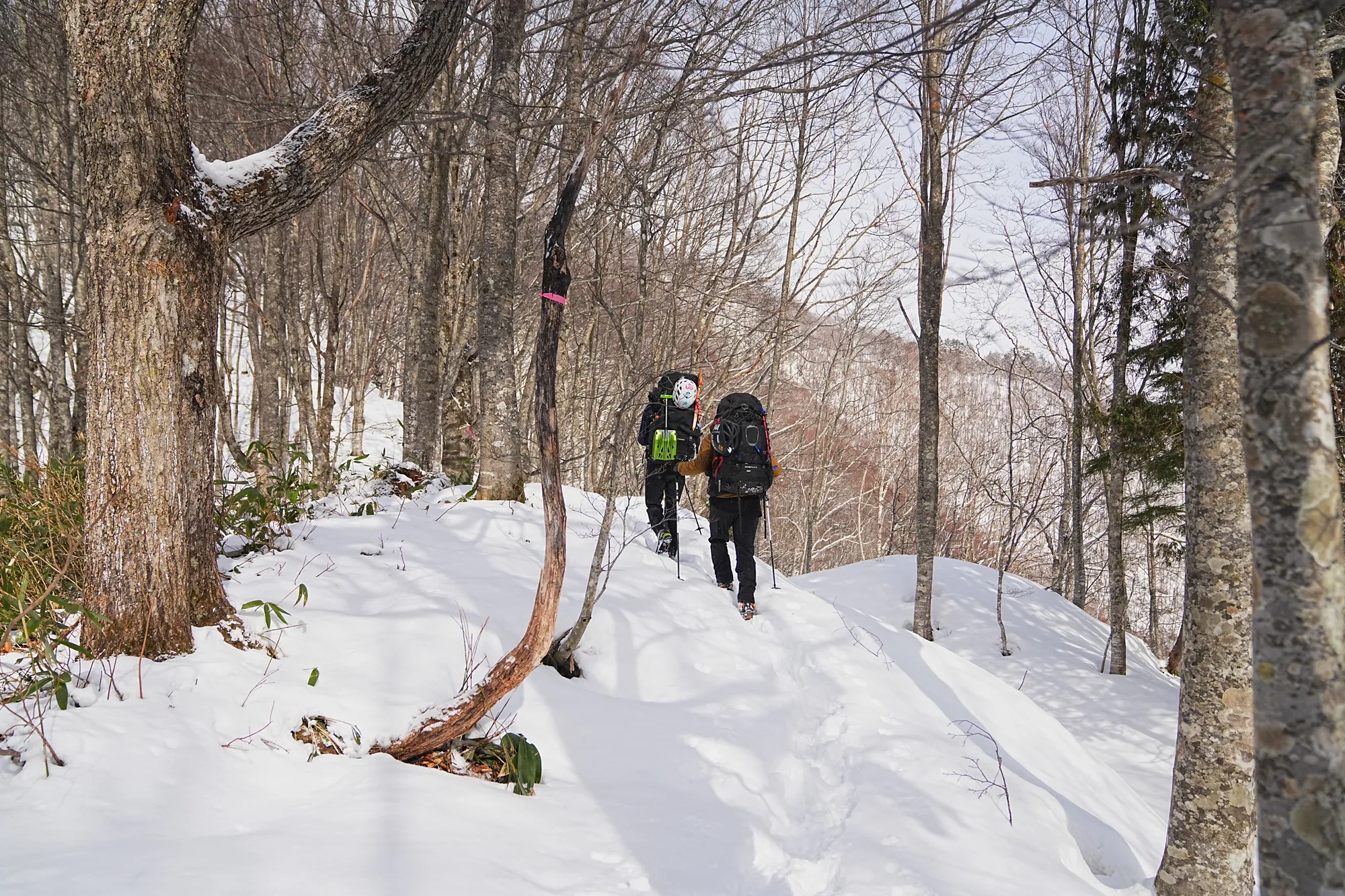 爺ヶ岳の冬季バリエーション「東尾根」で雪上テント泊！