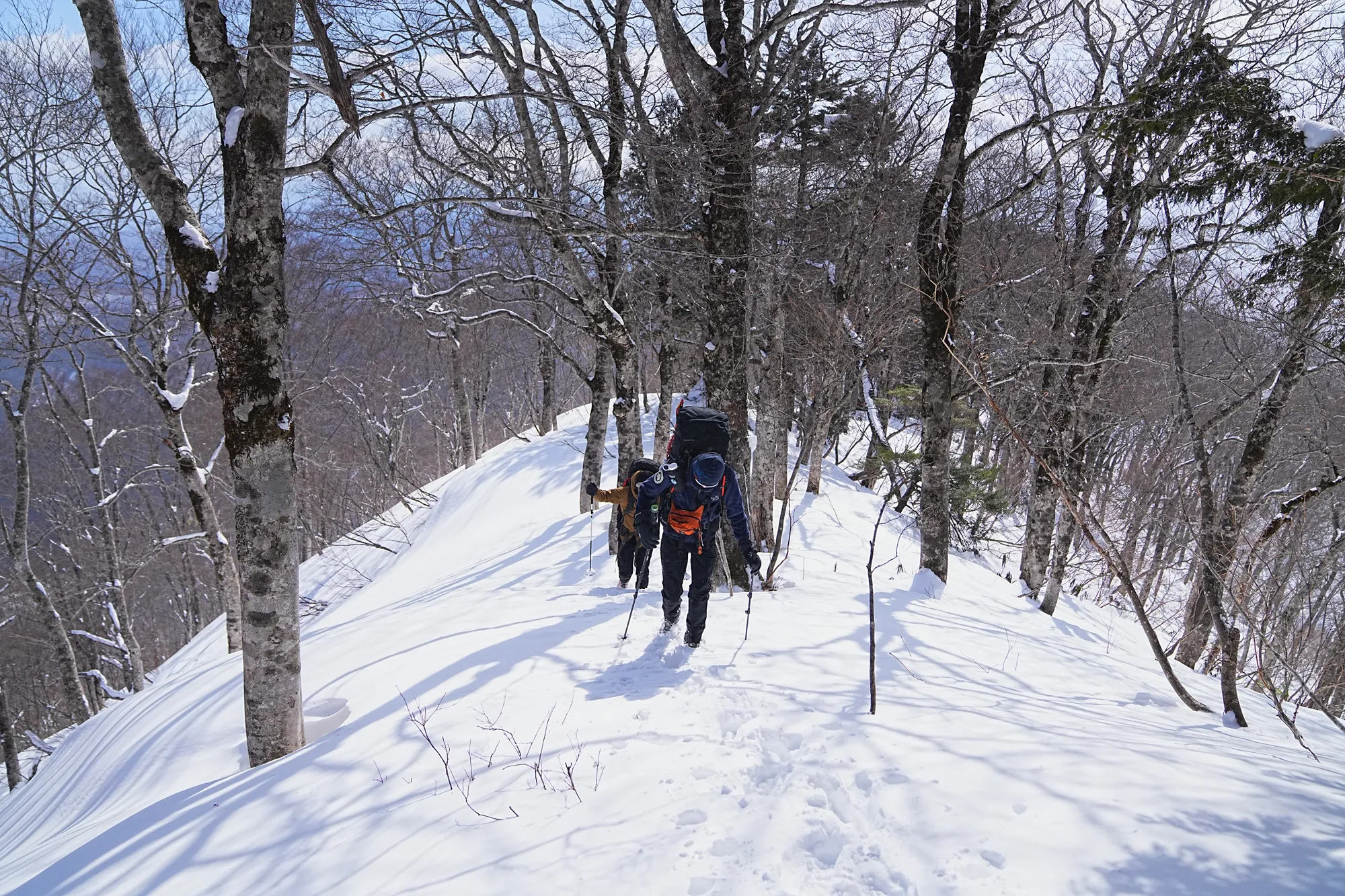 爺ヶ岳の冬季バリエーション「東尾根」で雪上テント泊！