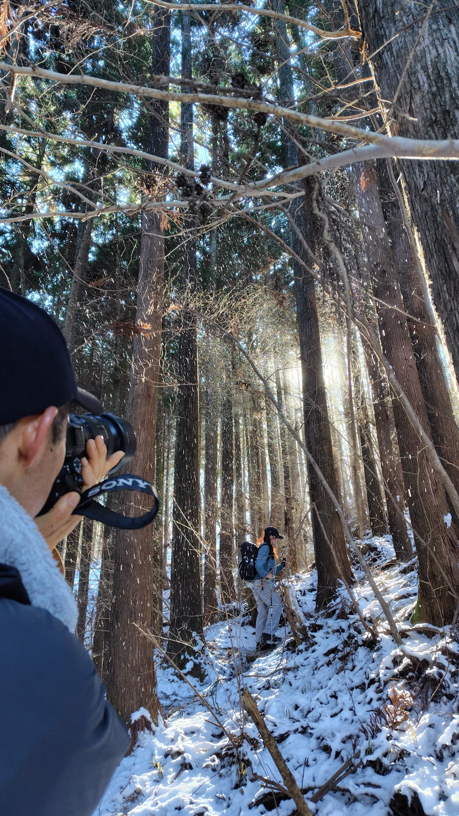 2026年午年にぴったりの山！陣馬山へのんびりピストン！