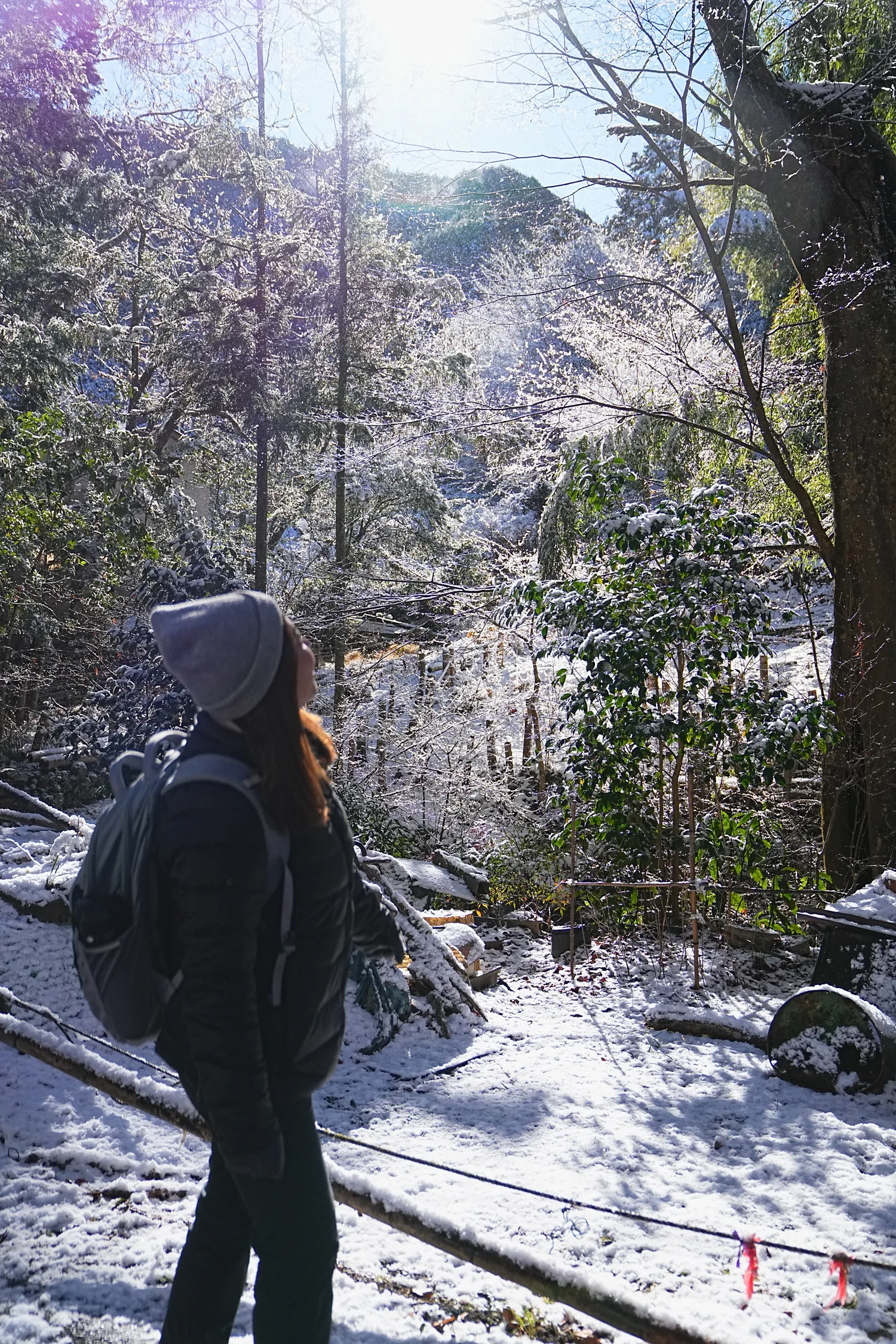 2026年午年にぴったりの山！陣馬山へのんびりピストン！