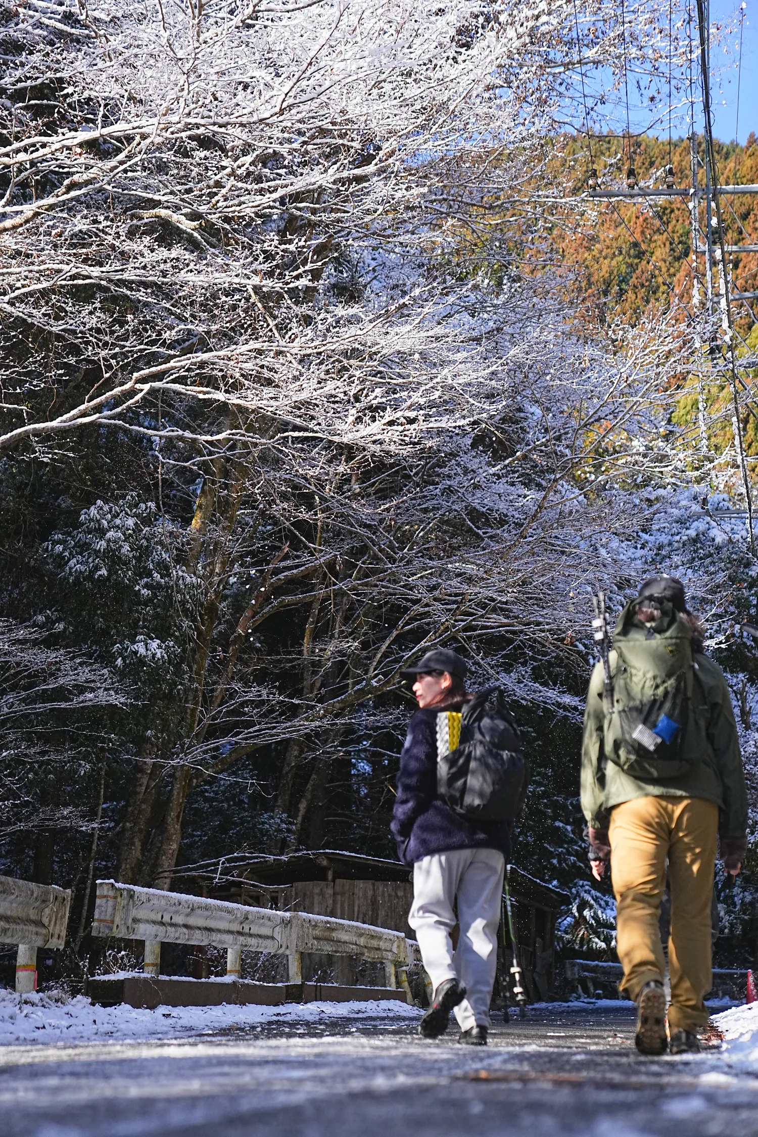 2026年午年にぴったりの山！陣馬山へのんびりピストン！