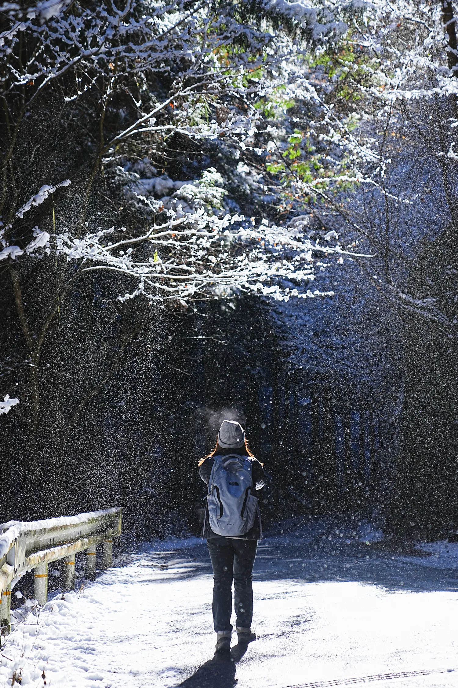 2026年午年にぴったりの山！陣馬山へのんびりピストン！