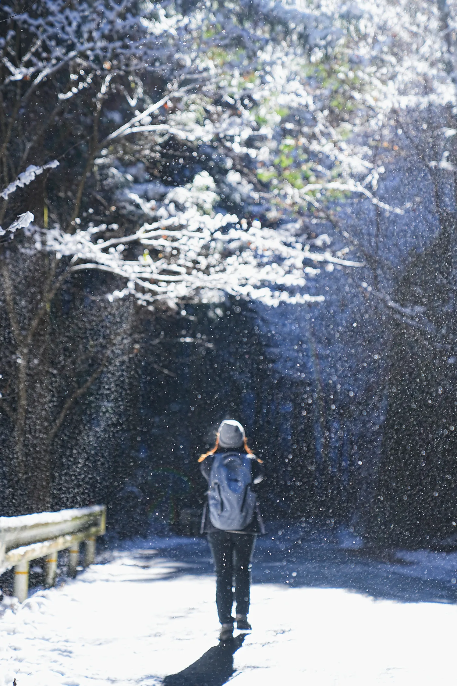 2026年午年にぴったりの山！陣馬山へのんびりピストン！