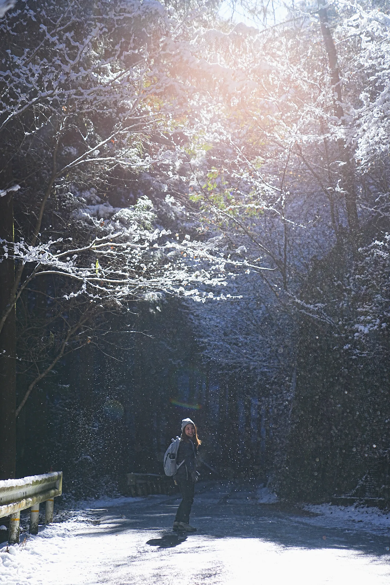 2026年午年にぴったりの山！陣馬山へのんびりピストン！
