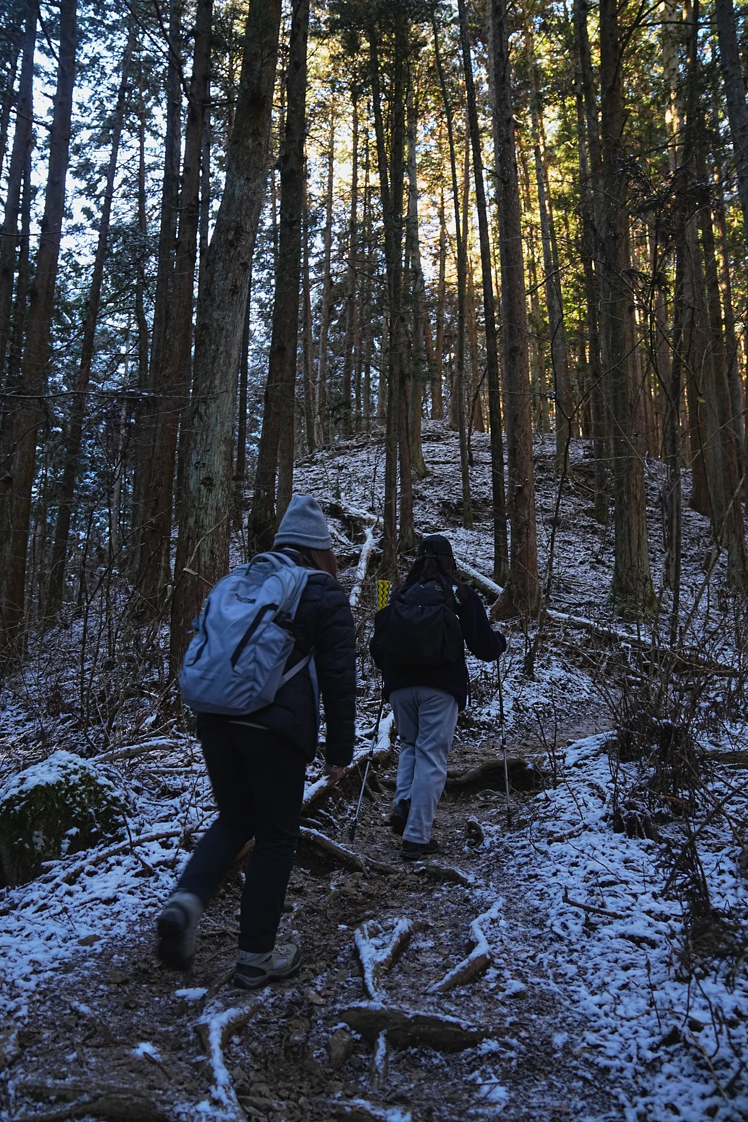 2026年午年にぴったりの山！陣馬山へのんびりピストン！