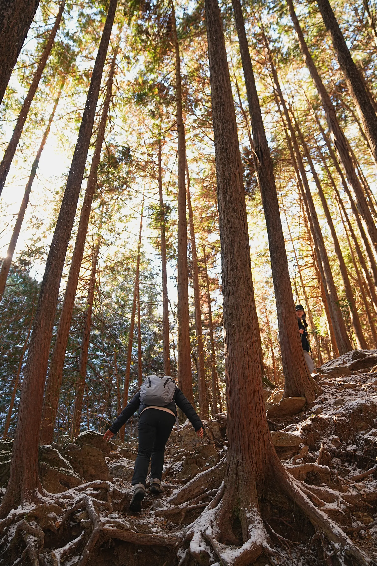 2026年午年にぴったりの山！陣馬山へのんびりピストン！