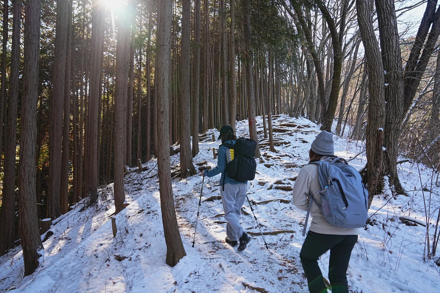 2026年午年にぴったりの山！陣馬山へのんびりピストン！