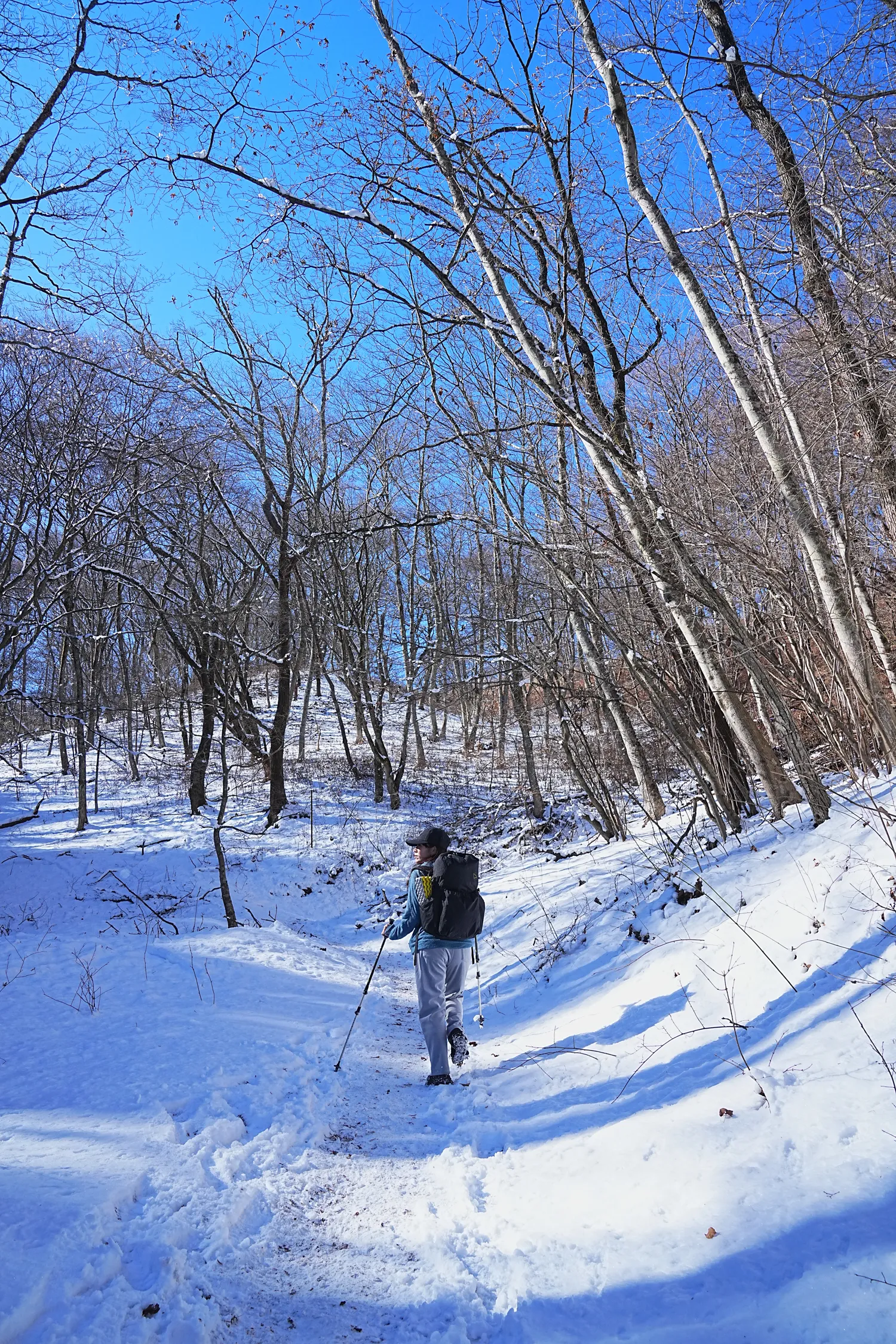 2026年午年にぴったりの山！陣馬山へのんびりピストン！