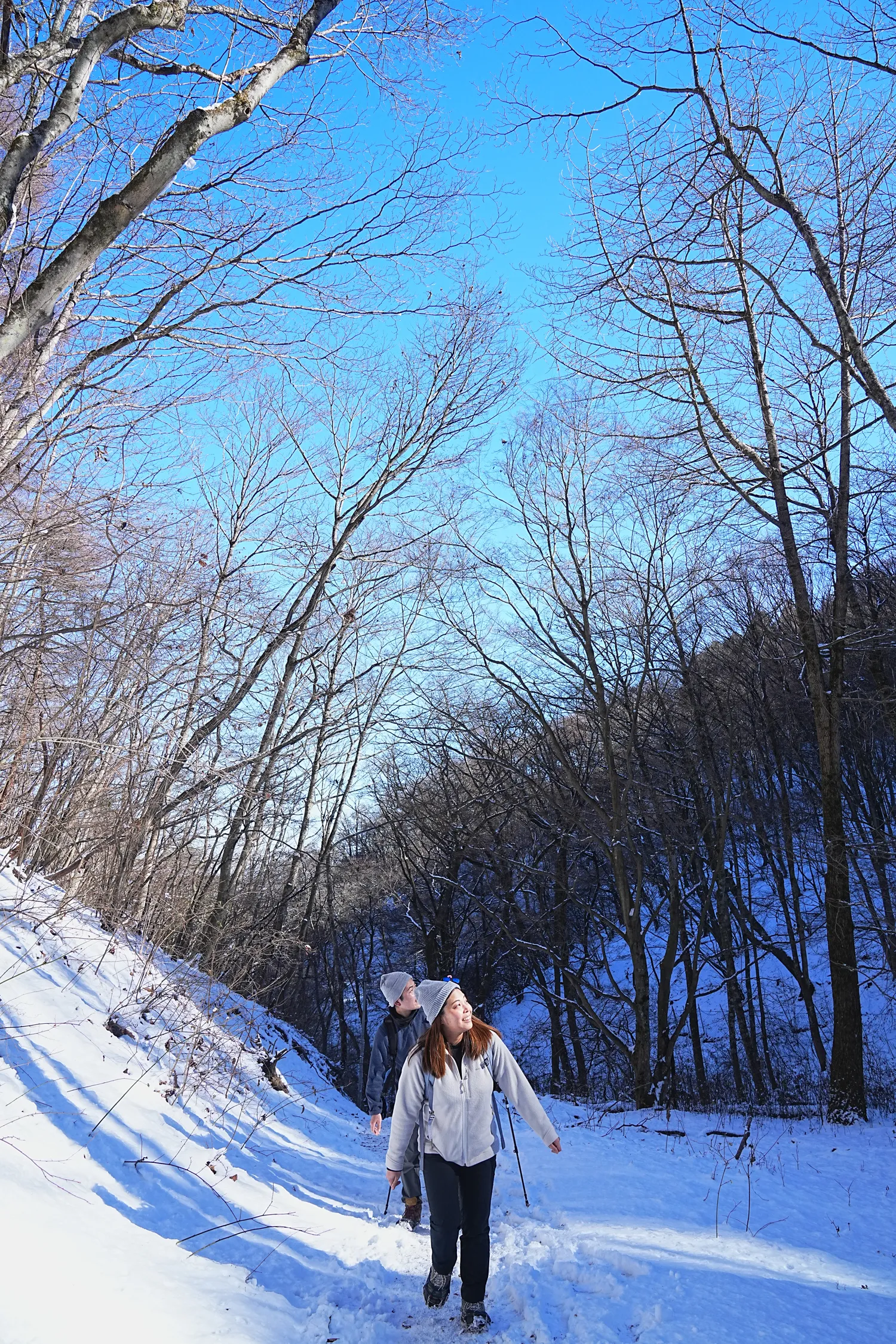 2026年午年にぴったりの山！陣馬山へのんびりピストン！
