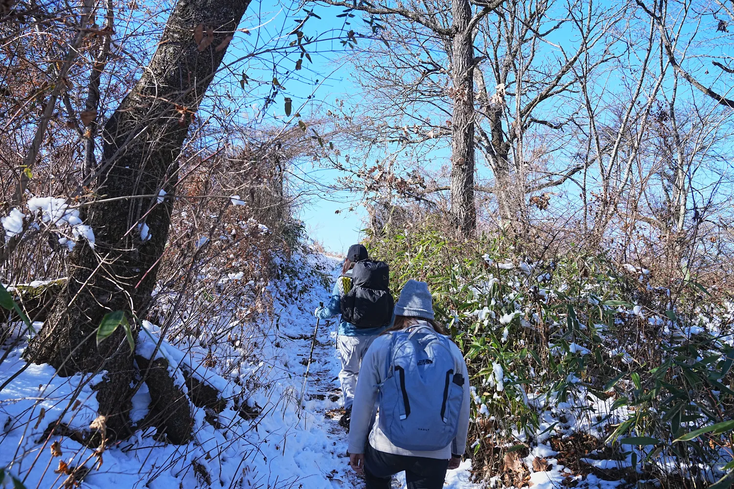 2026年午年にぴったりの山！陣馬山へのんびりピストン！