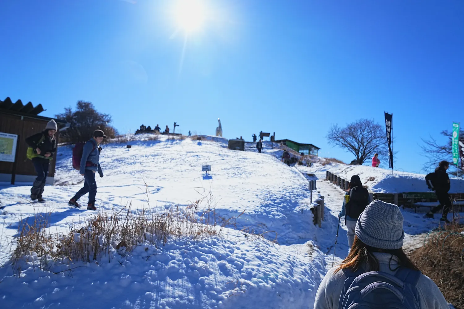 2026年午年にぴったりの山！陣馬山へのんびりピストン！