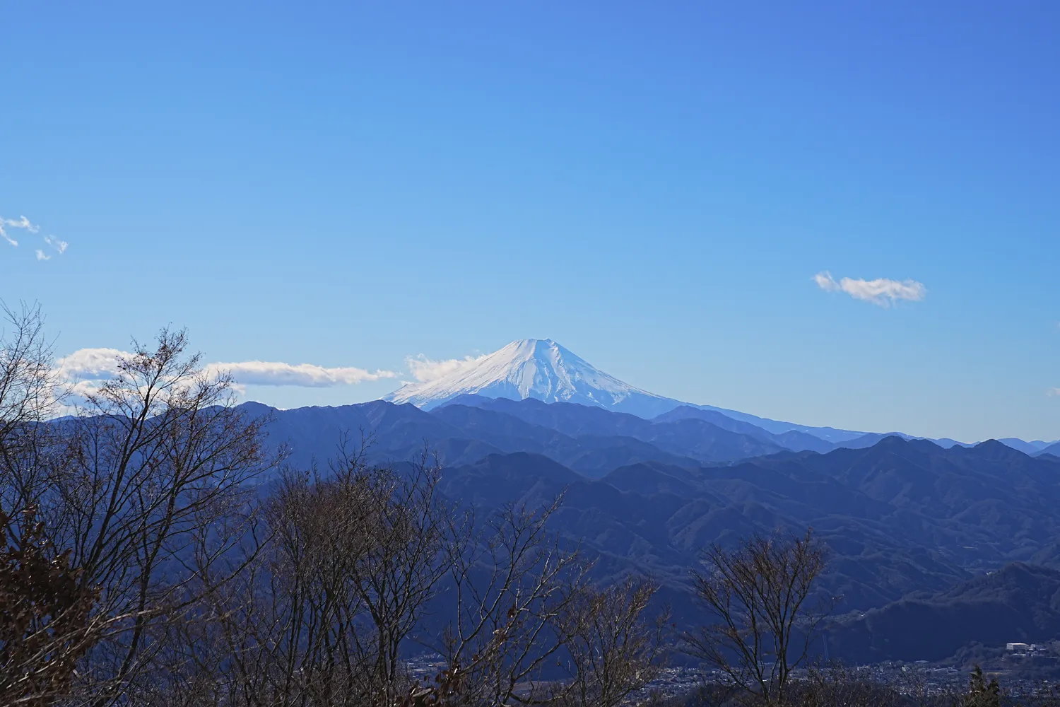2026年午年にぴったりの山！陣馬山へのんびりピストン！