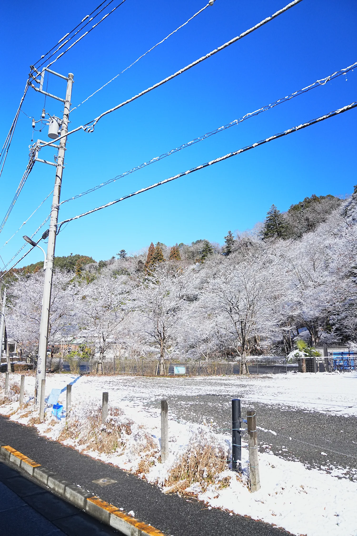 2026年午年にぴったりの山！陣馬山へのんびりピストン！