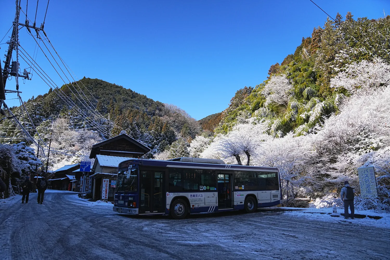 2026年午年にぴったりの山！陣馬山へのんびりピストン！