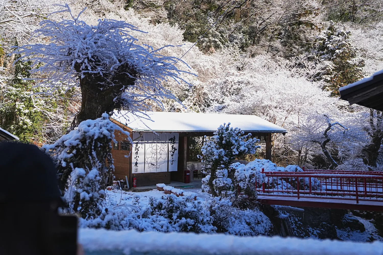2026年午年にぴったりの山！陣馬山へのんびりピストン！