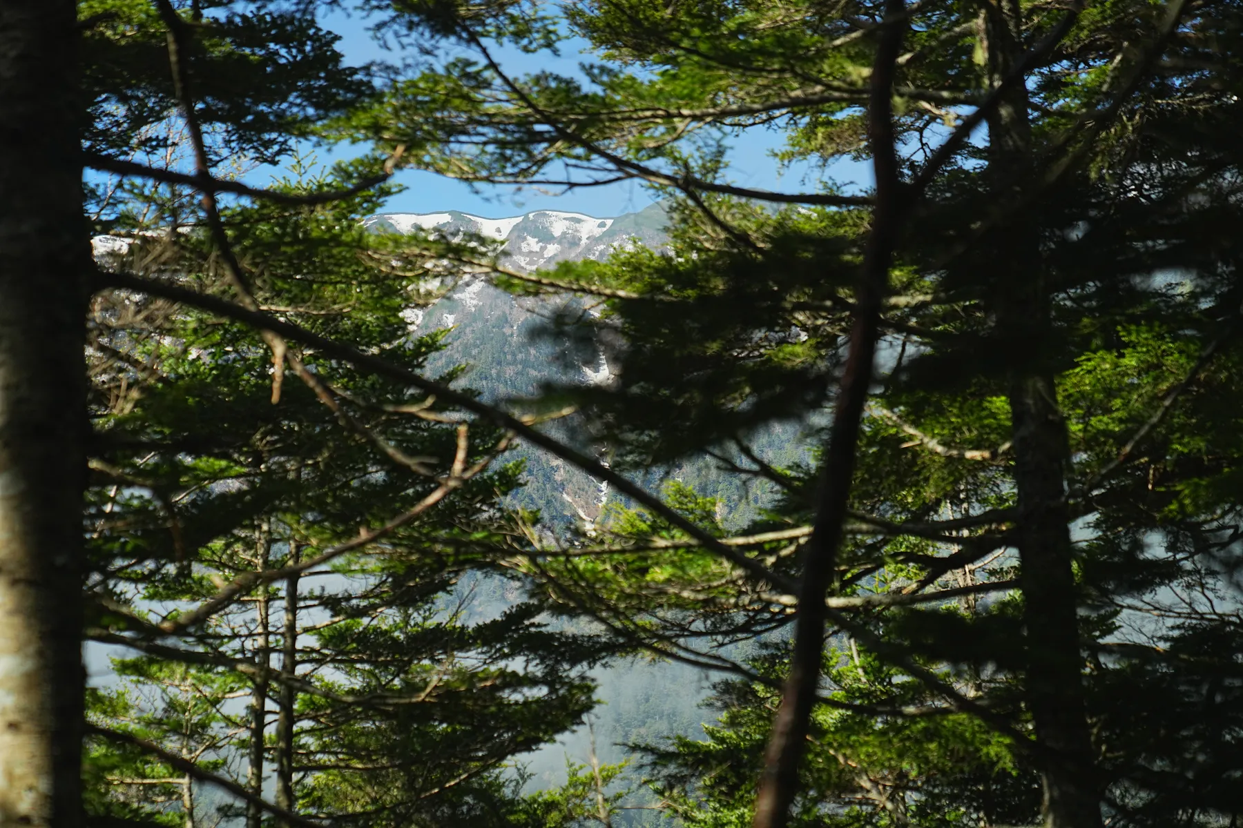 常念岳 山小屋泊登山