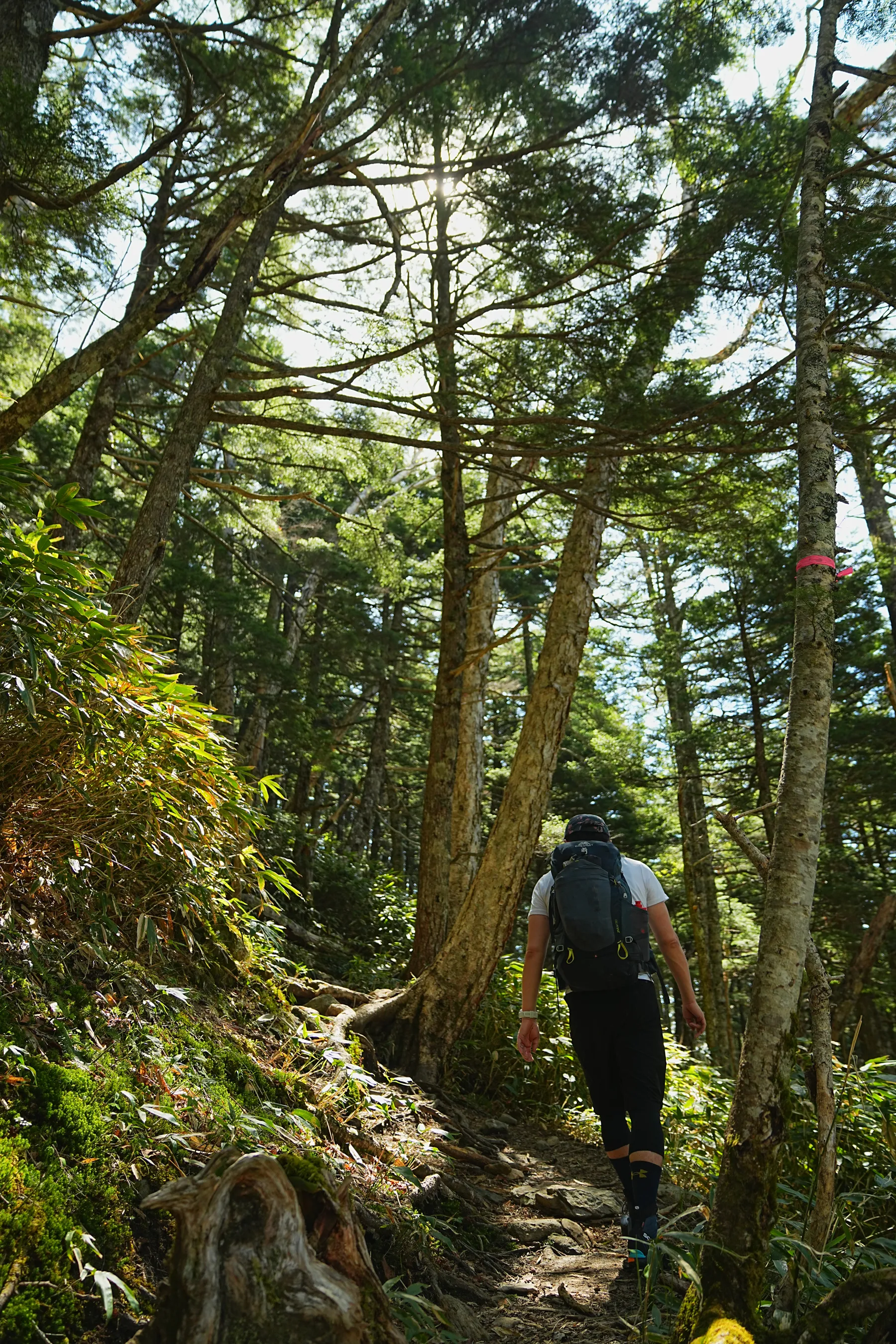 常念岳 山小屋泊登山