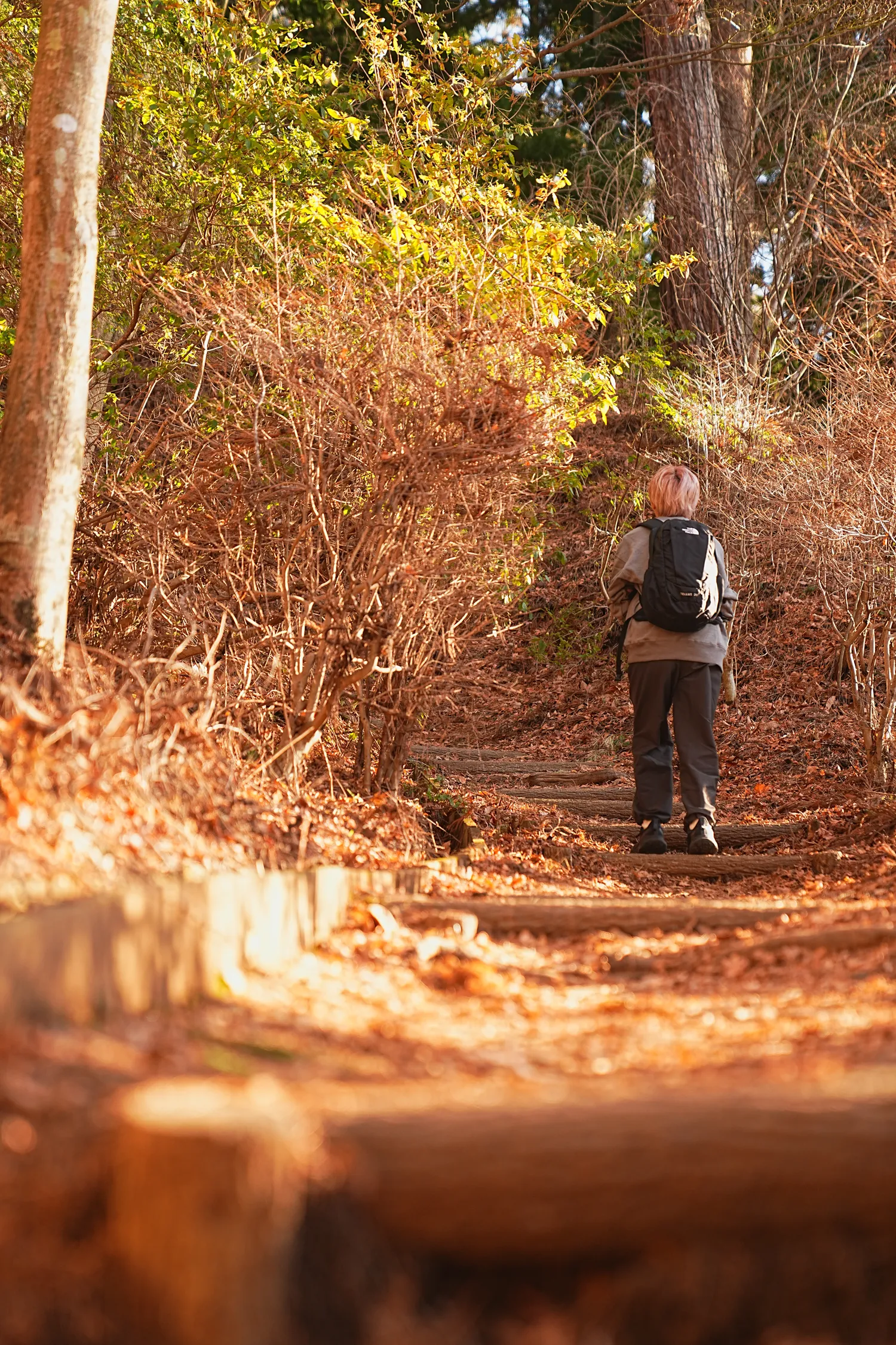 河口湖の湖畔のカチカチ山でサクッとサンセット富士！
