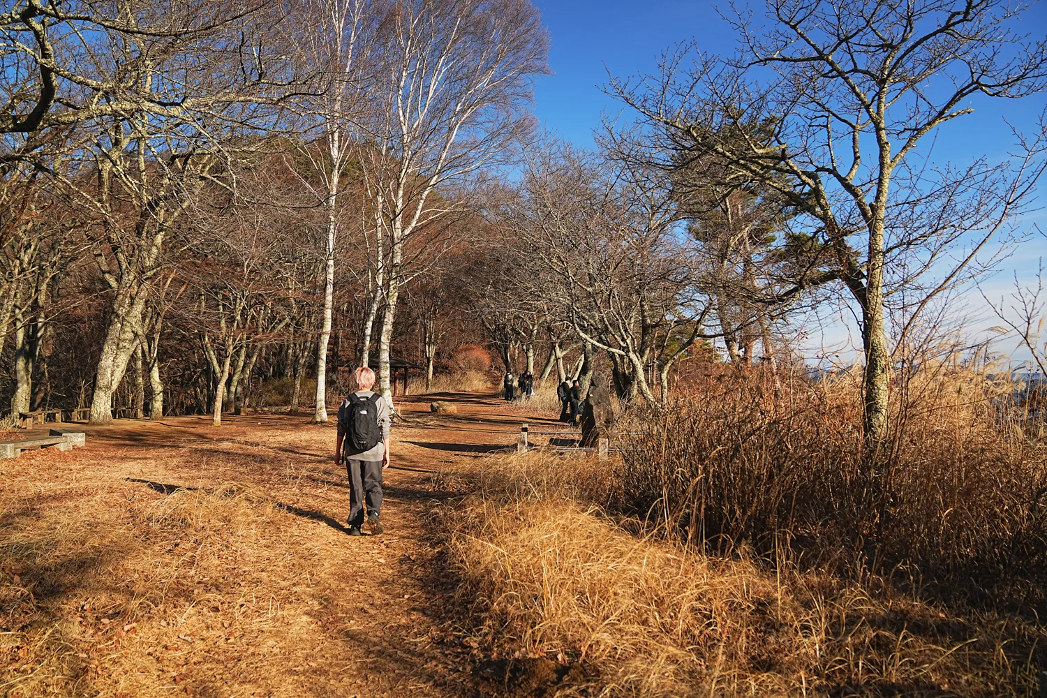 河口湖の湖畔のカチカチ山でサクッとサンセット富士！