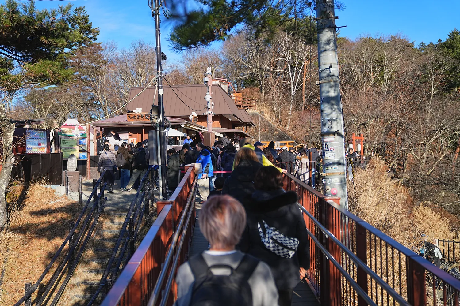河口湖の湖畔のカチカチ山でサクッとサンセット富士！