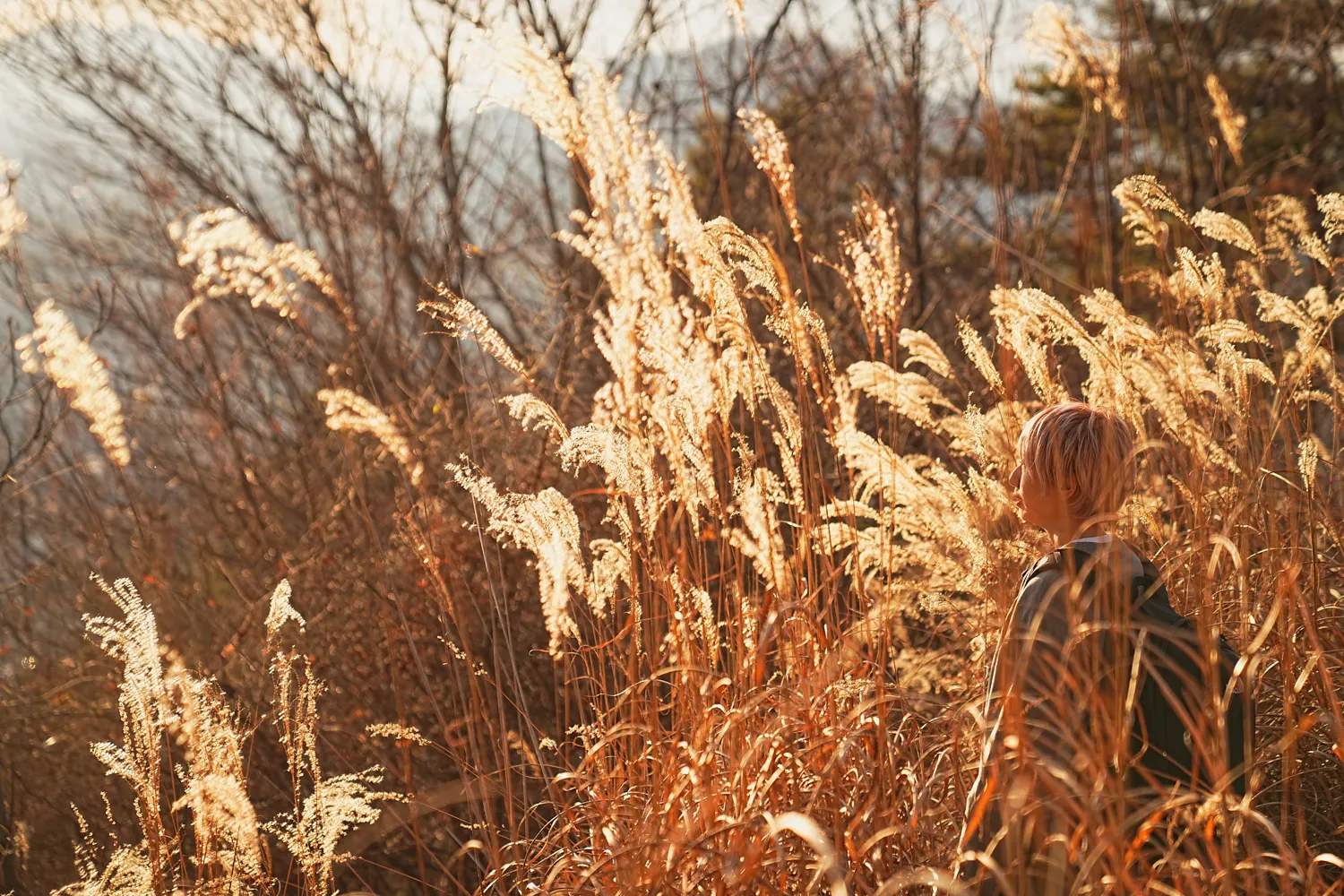河口湖の湖畔のカチカチ山でサクッとサンセット富士！