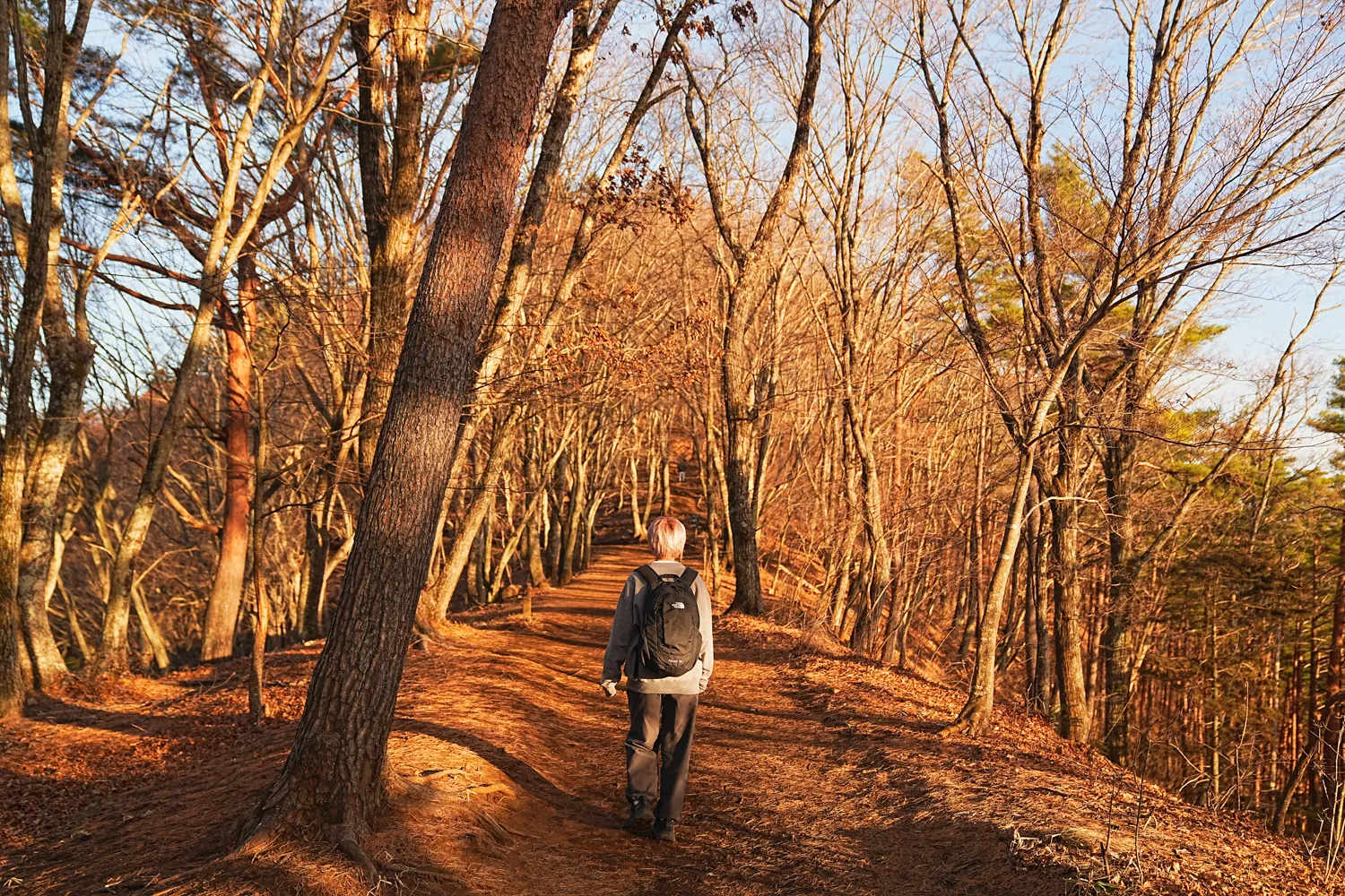 河口湖の湖畔のカチカチ山でサクッとサンセット富士！