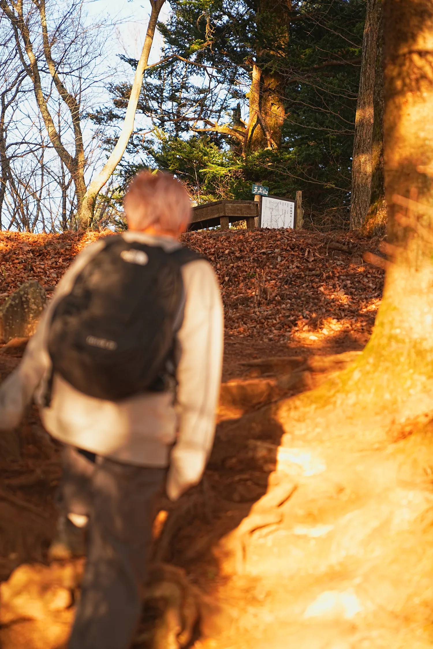 河口湖の湖畔のカチカチ山でサクッとサンセット富士！