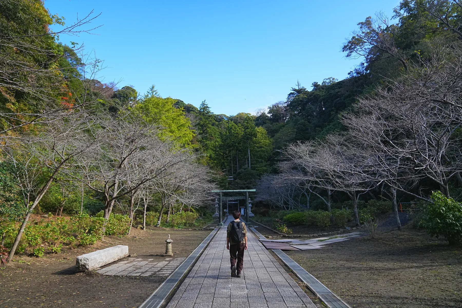 秋の鎌倉アルプス。天園コースハイキング