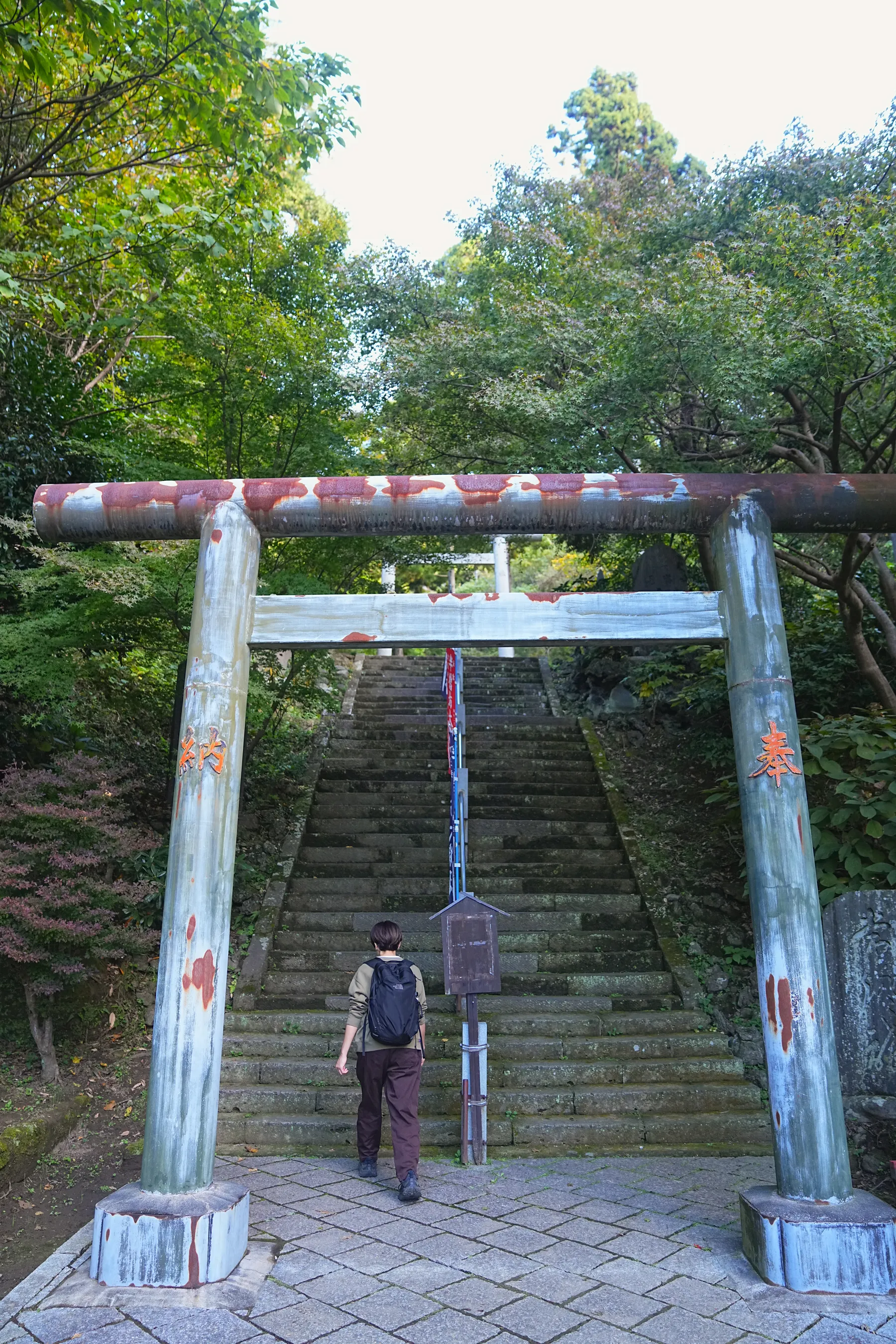 秋の鎌倉アルプス。天園コースハイキング