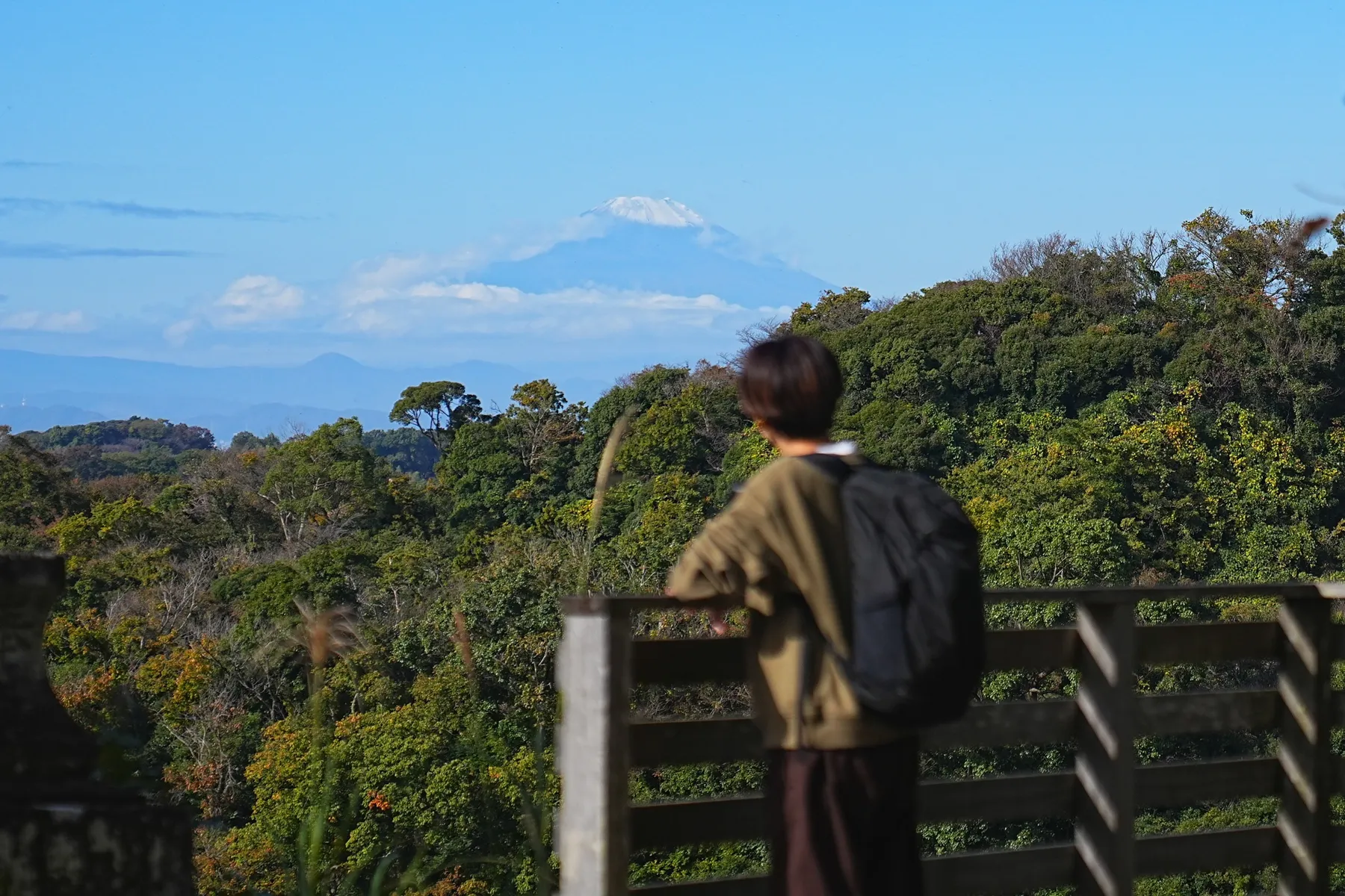 秋の鎌倉アルプス。天園コースハイキング