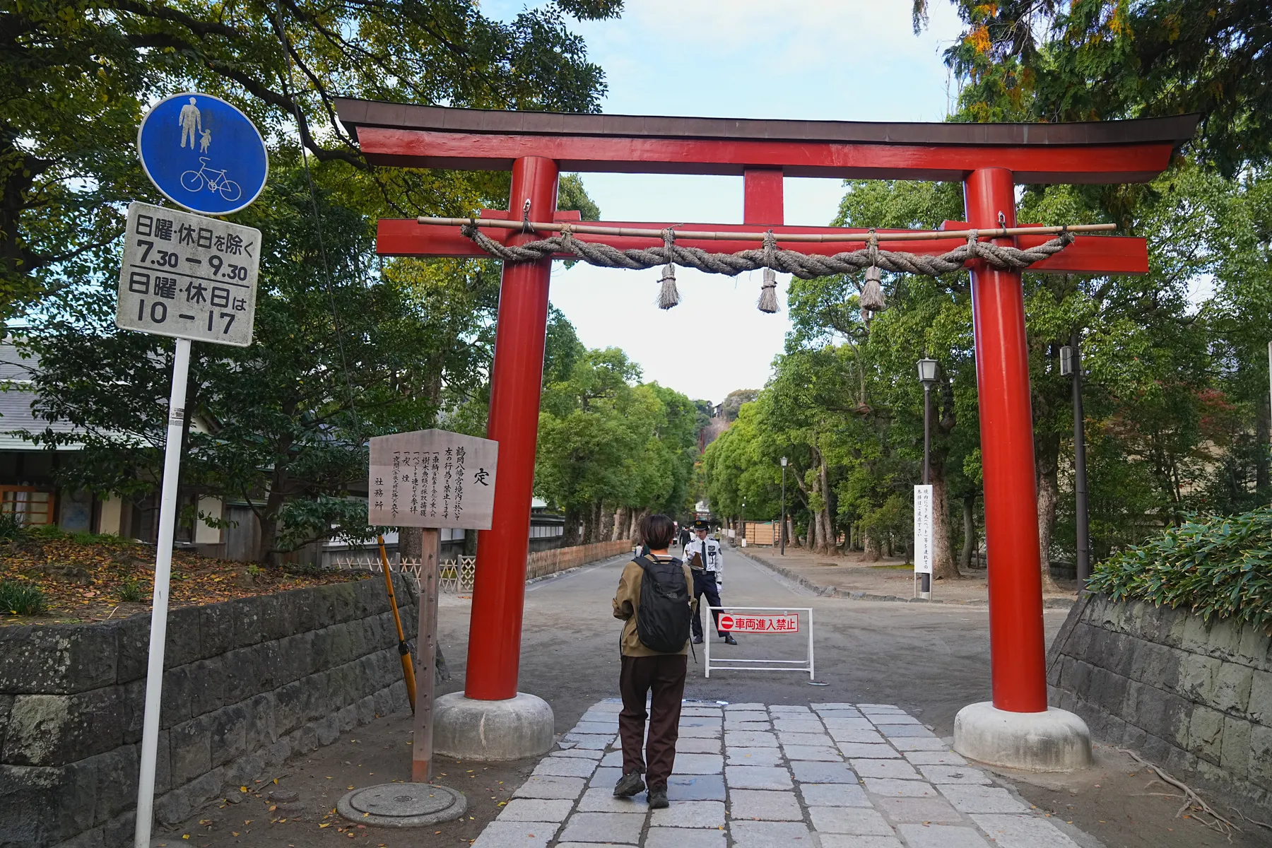 秋の鎌倉アルプス。天園コースハイキング