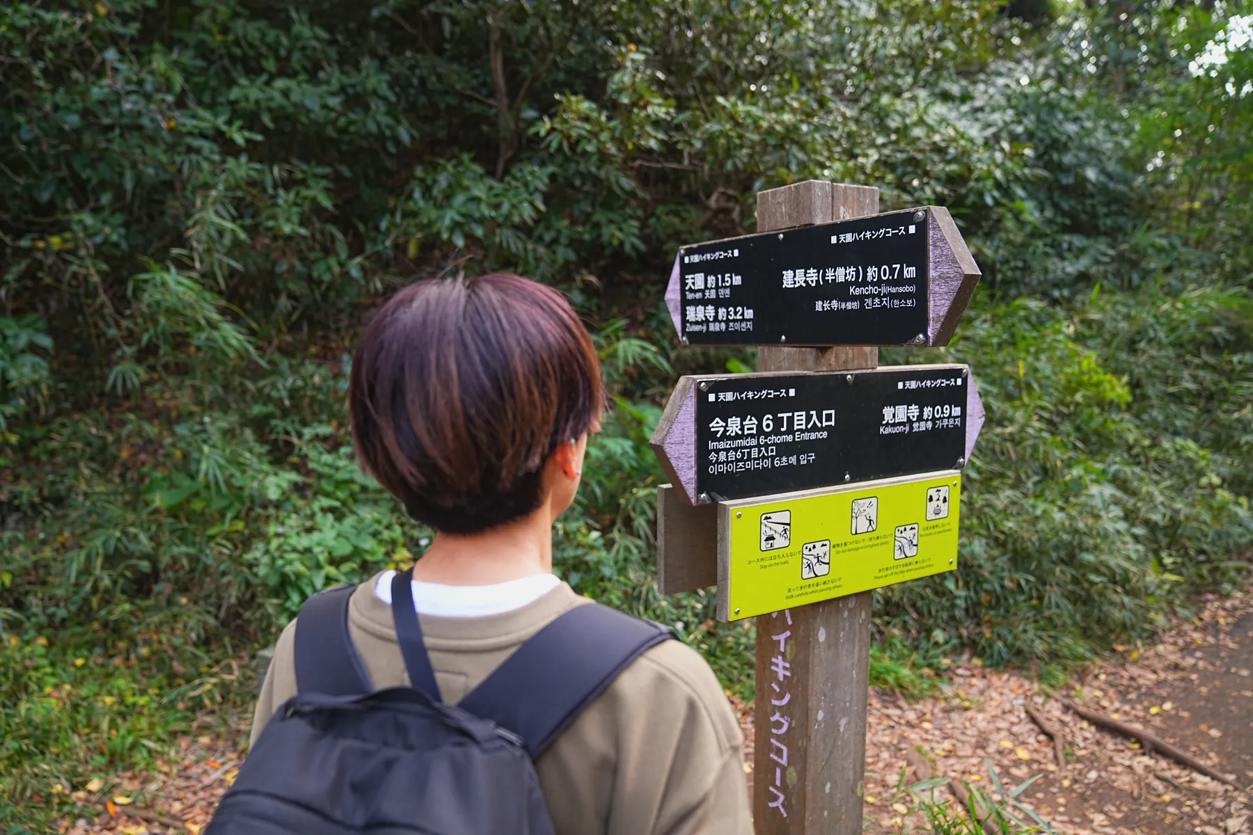 秋の鎌倉アルプス。天園コースハイキング