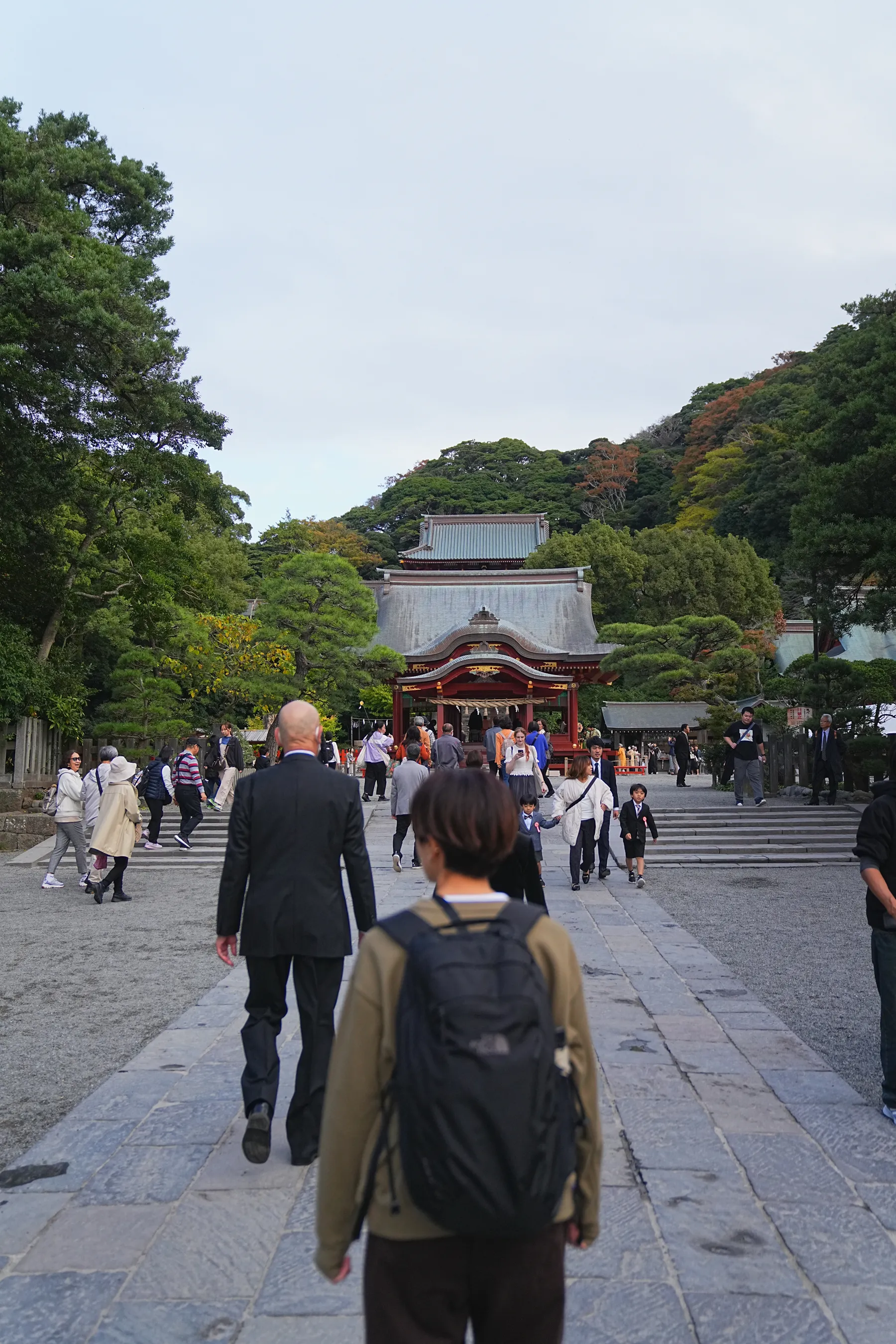 秋の鎌倉アルプス。天園コースハイキング