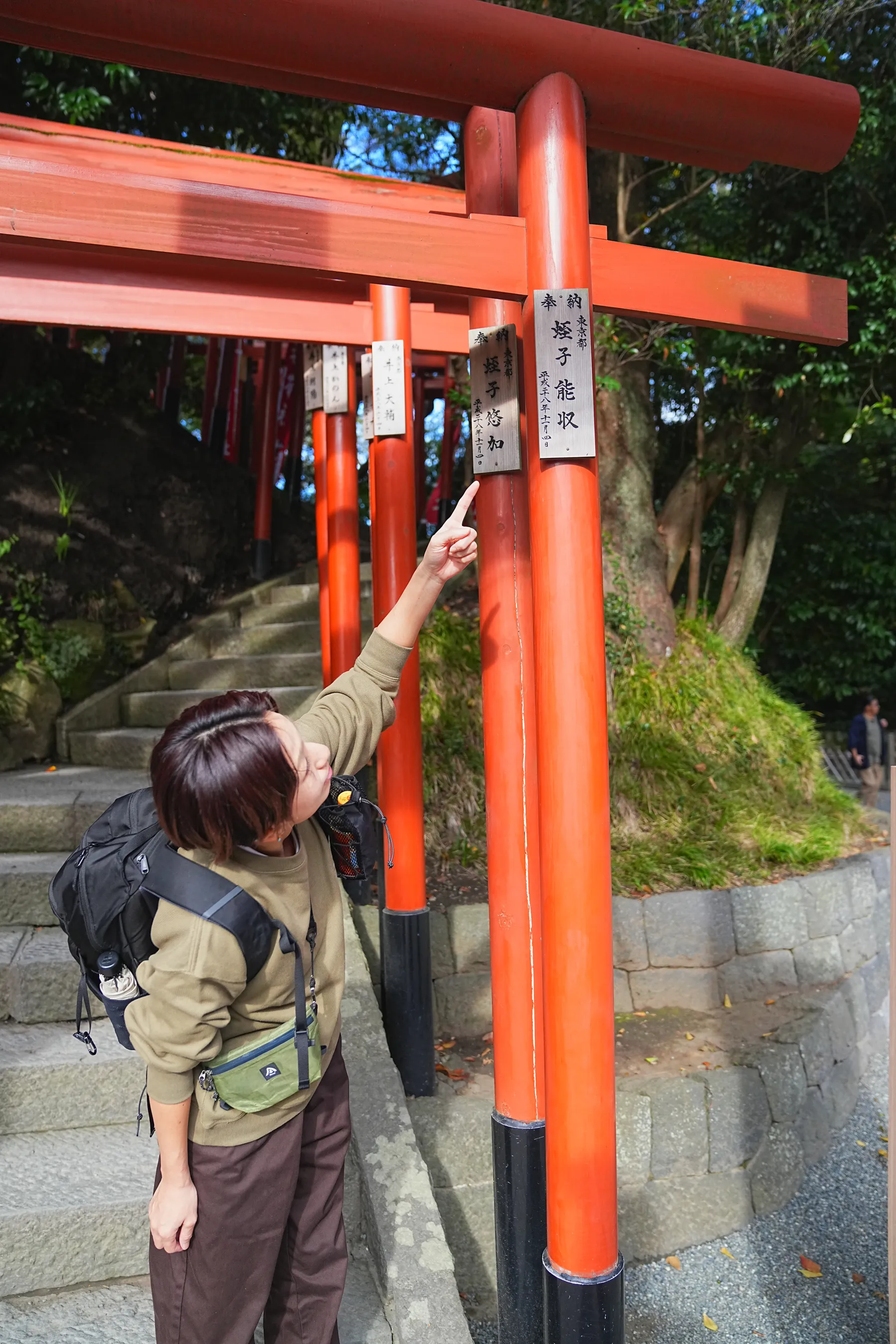 秋の鎌倉アルプス。天園コースハイキング