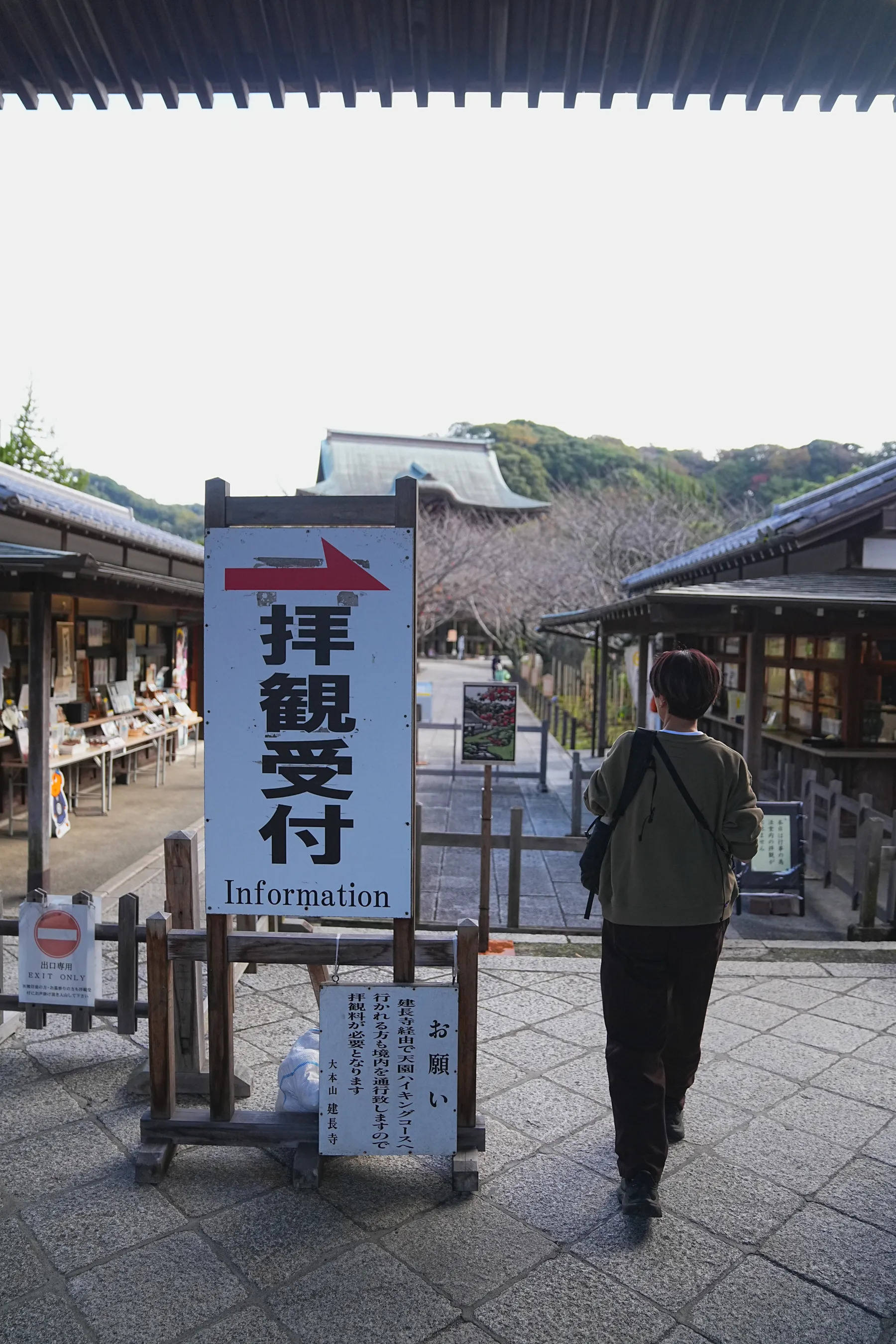 秋の鎌倉アルプス。天園コースハイキング