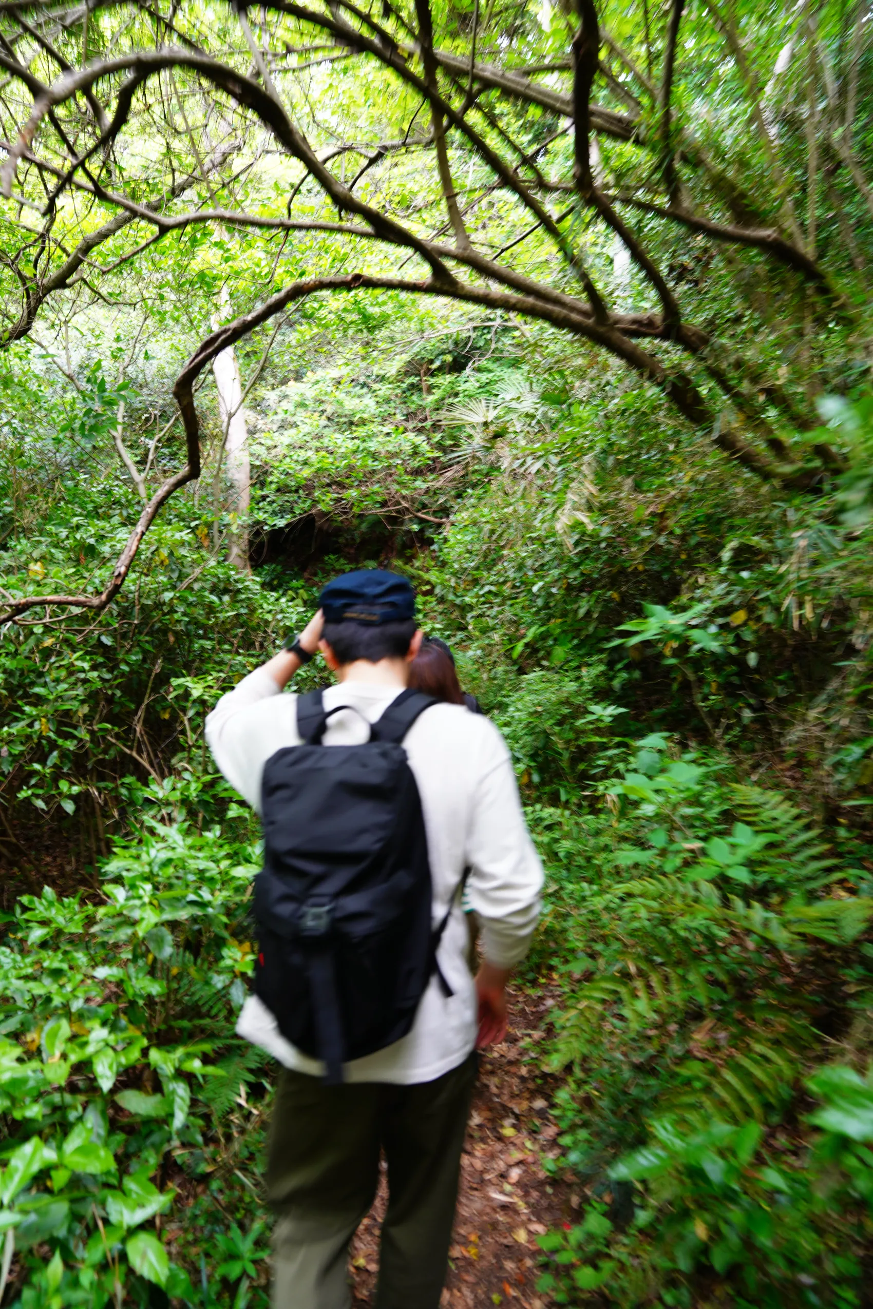 GW！鎌倉・衣張山をのんびりハイキング