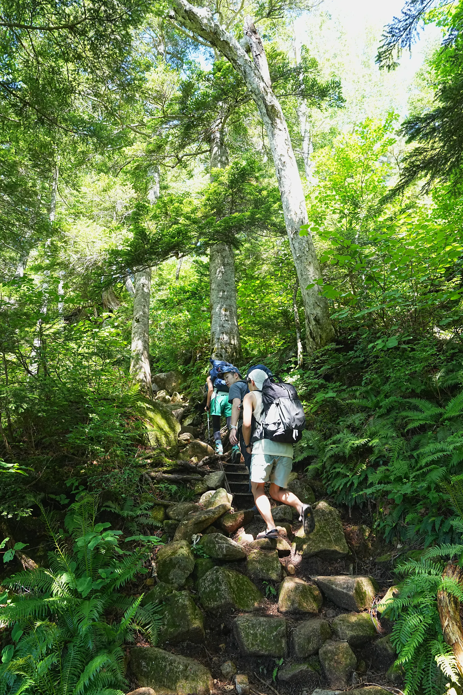 北アルプス「笠ヶ岳」、笠新道を登り笠ヶ岳山荘へ