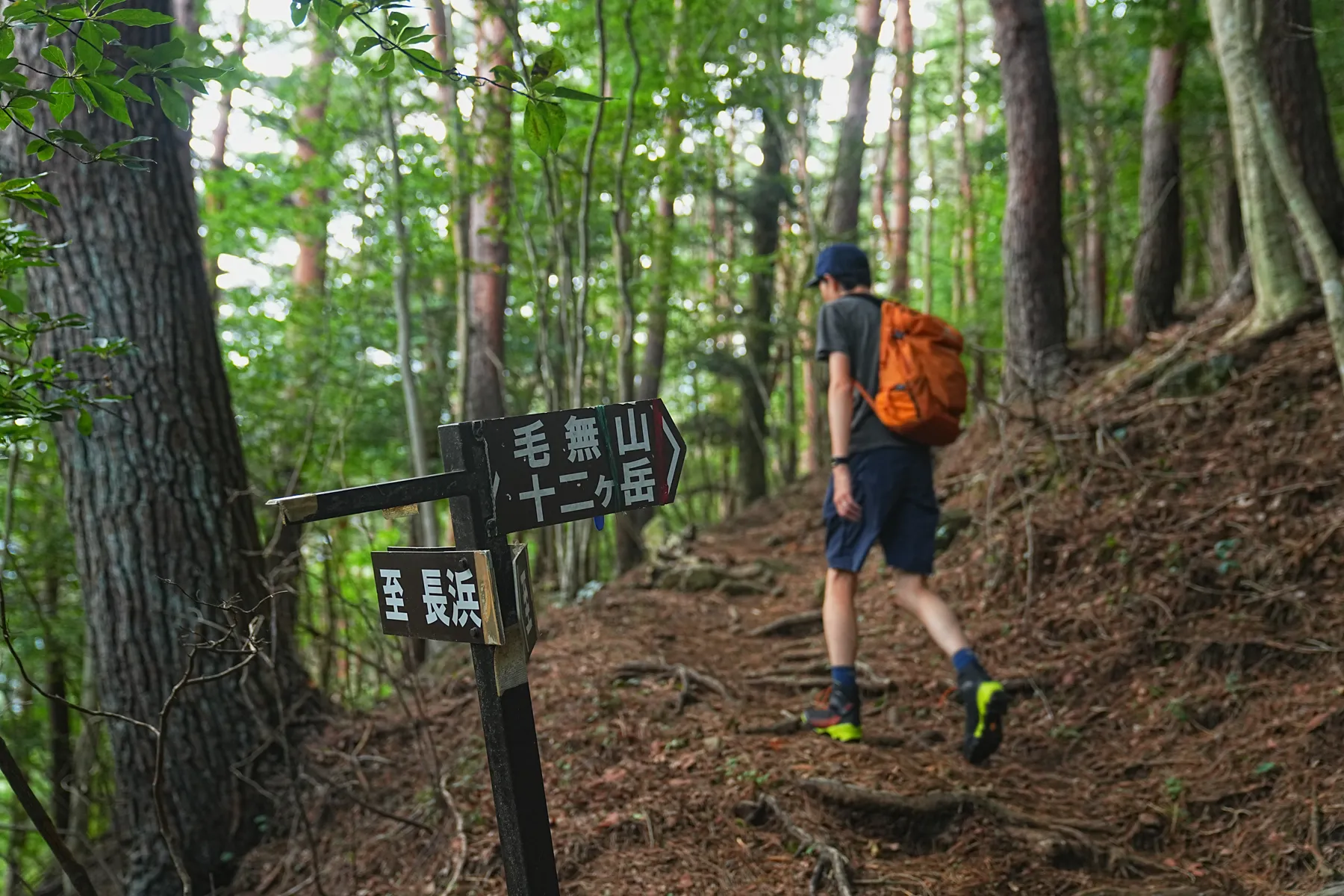絶景の夕焼けの富士山を眺める登山。富士山外輪・毛無山。