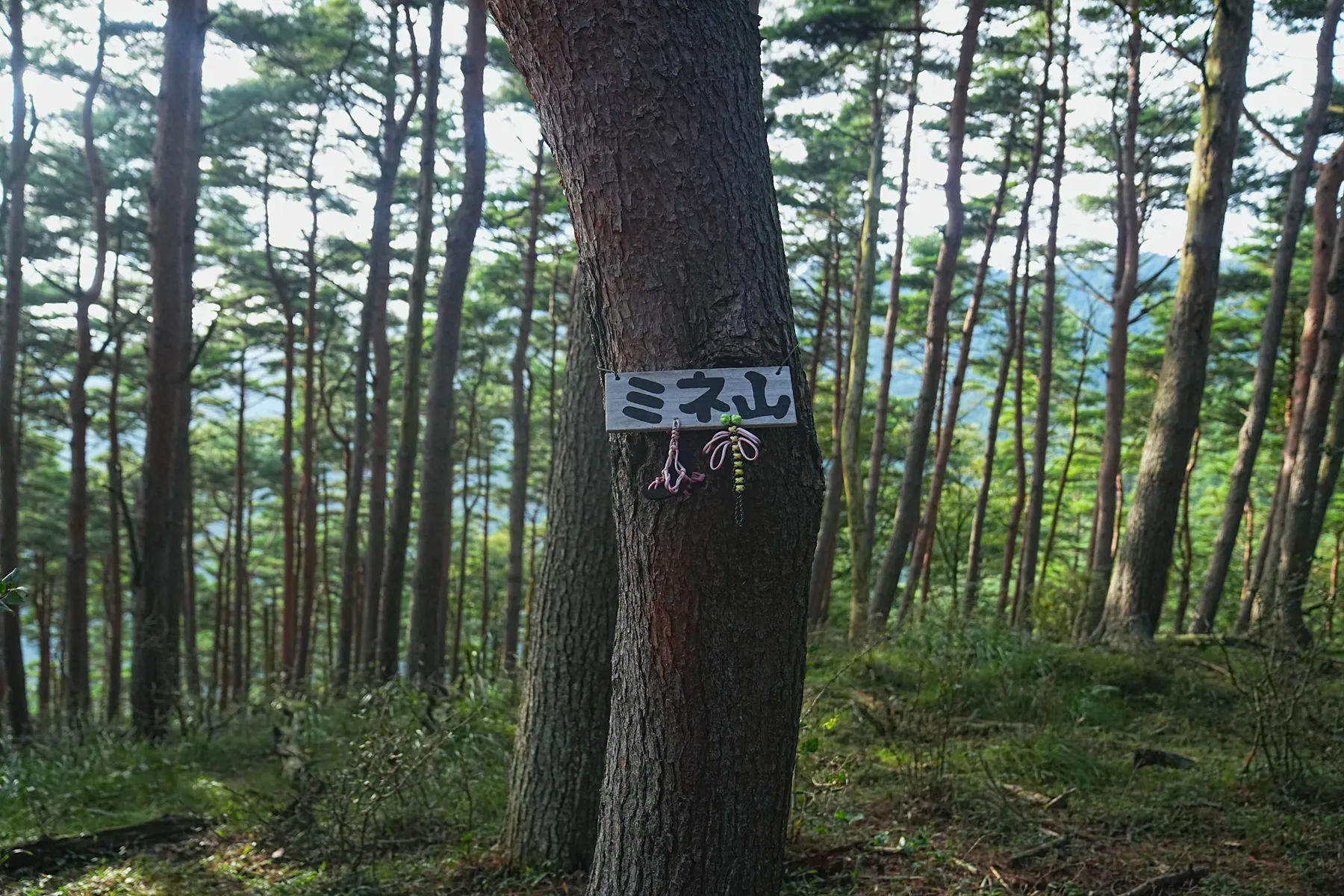 絶景の夕焼けの富士山を眺める登山。富士山外輪・毛無山。