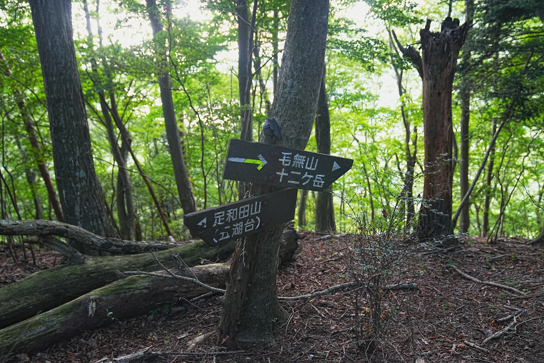 絶景の夕焼けの富士山を眺める登山。富士山外輪・毛無山。