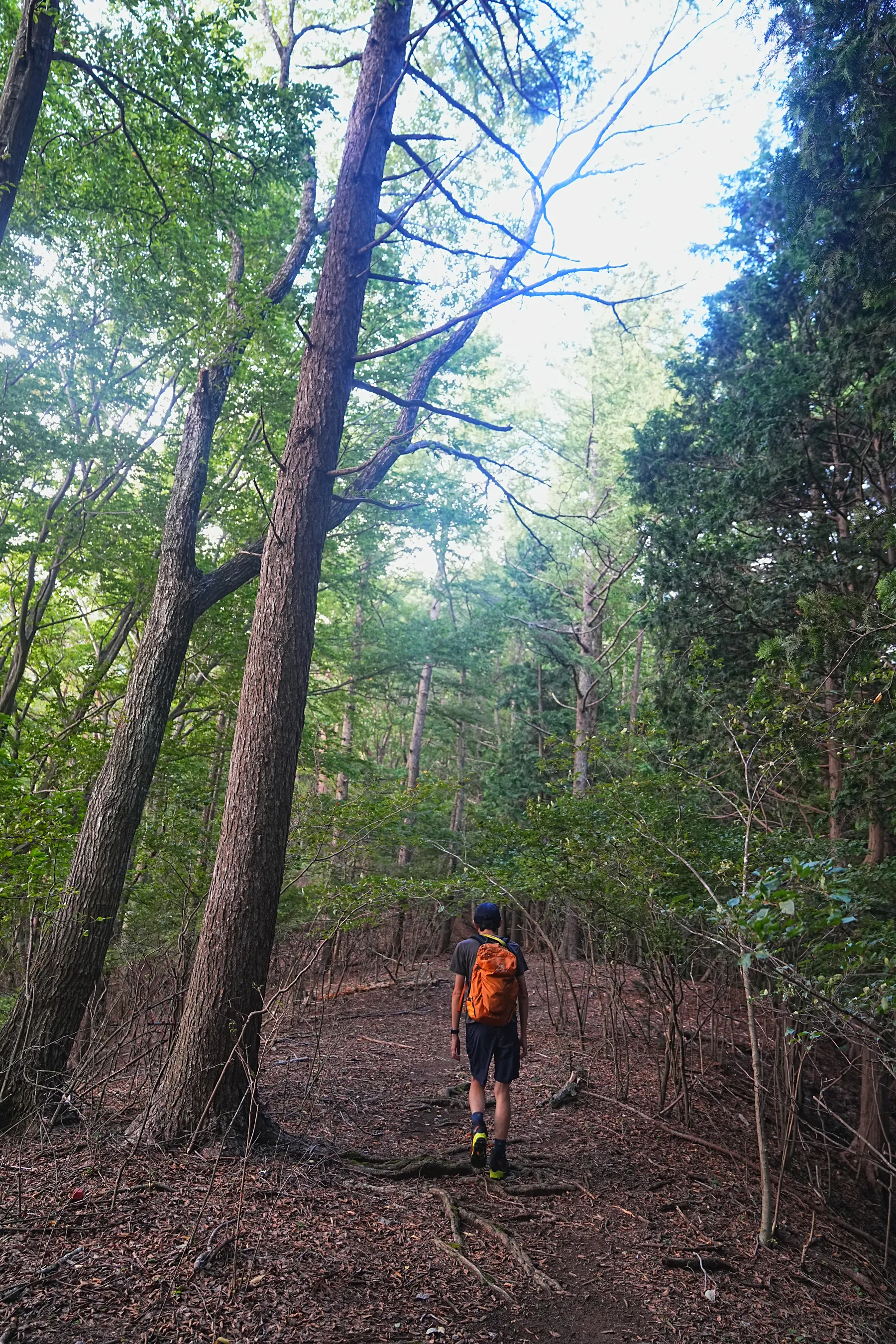 絶景の夕焼けの富士山を眺める登山。富士山外輪・毛無山。