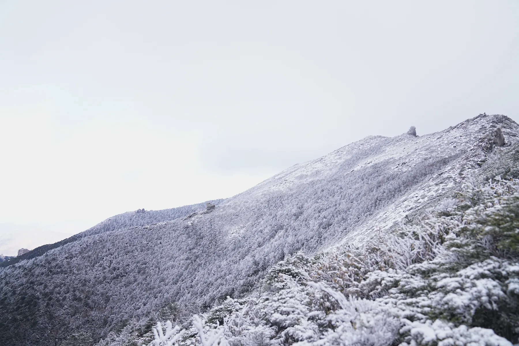 冬の金峰山。金峰山小屋に泊まって山頂で朝日。