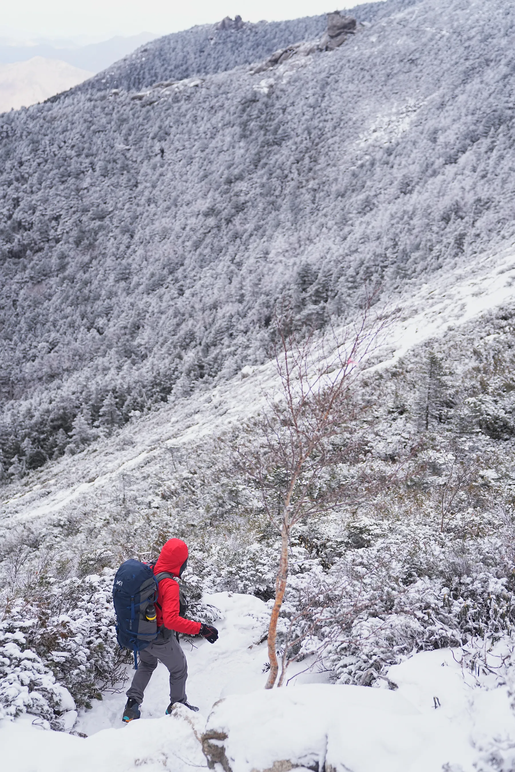 冬の金峰山。金峰山小屋に泊まって山頂で朝日。