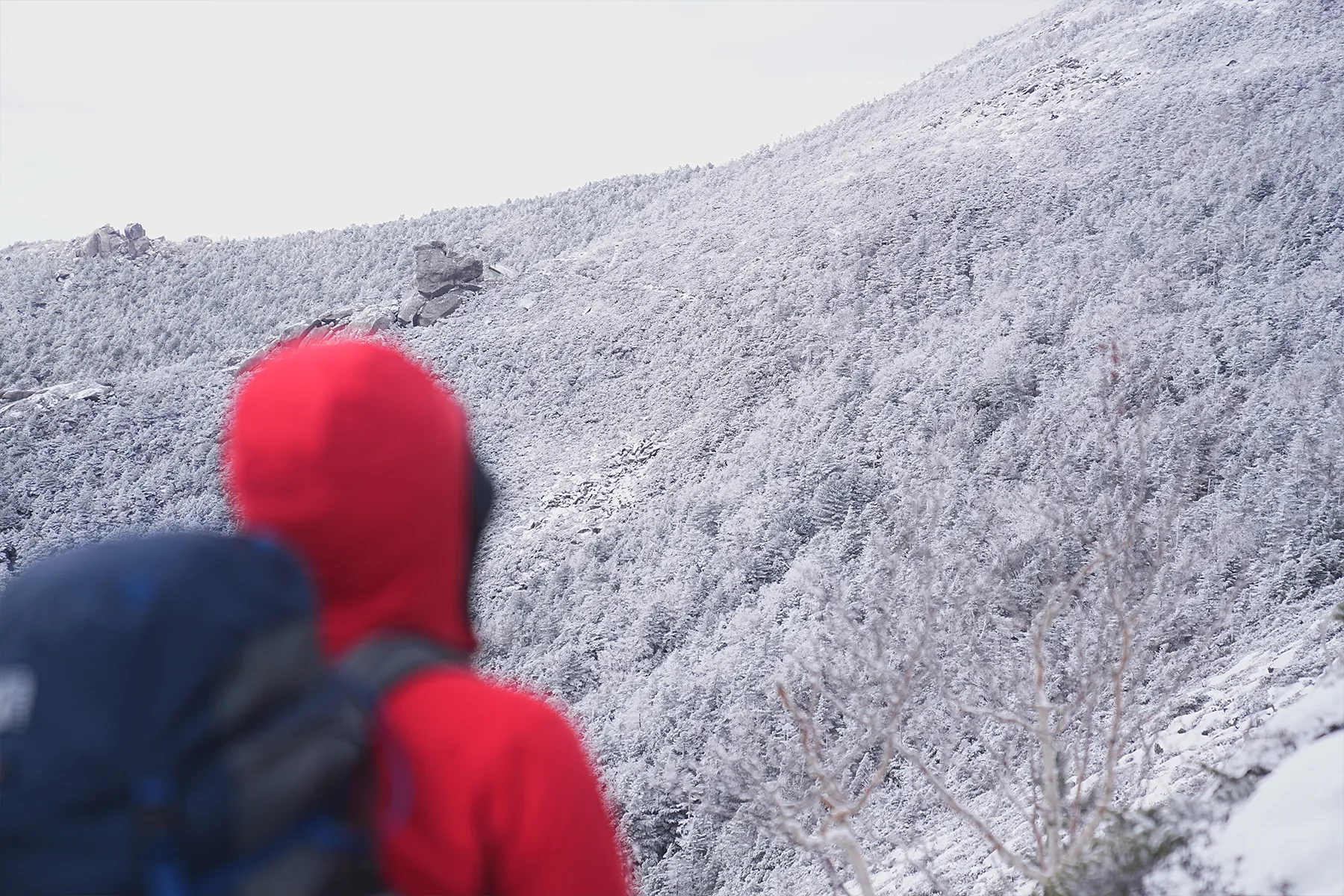 冬の金峰山。金峰山小屋に泊まって山頂で朝日。