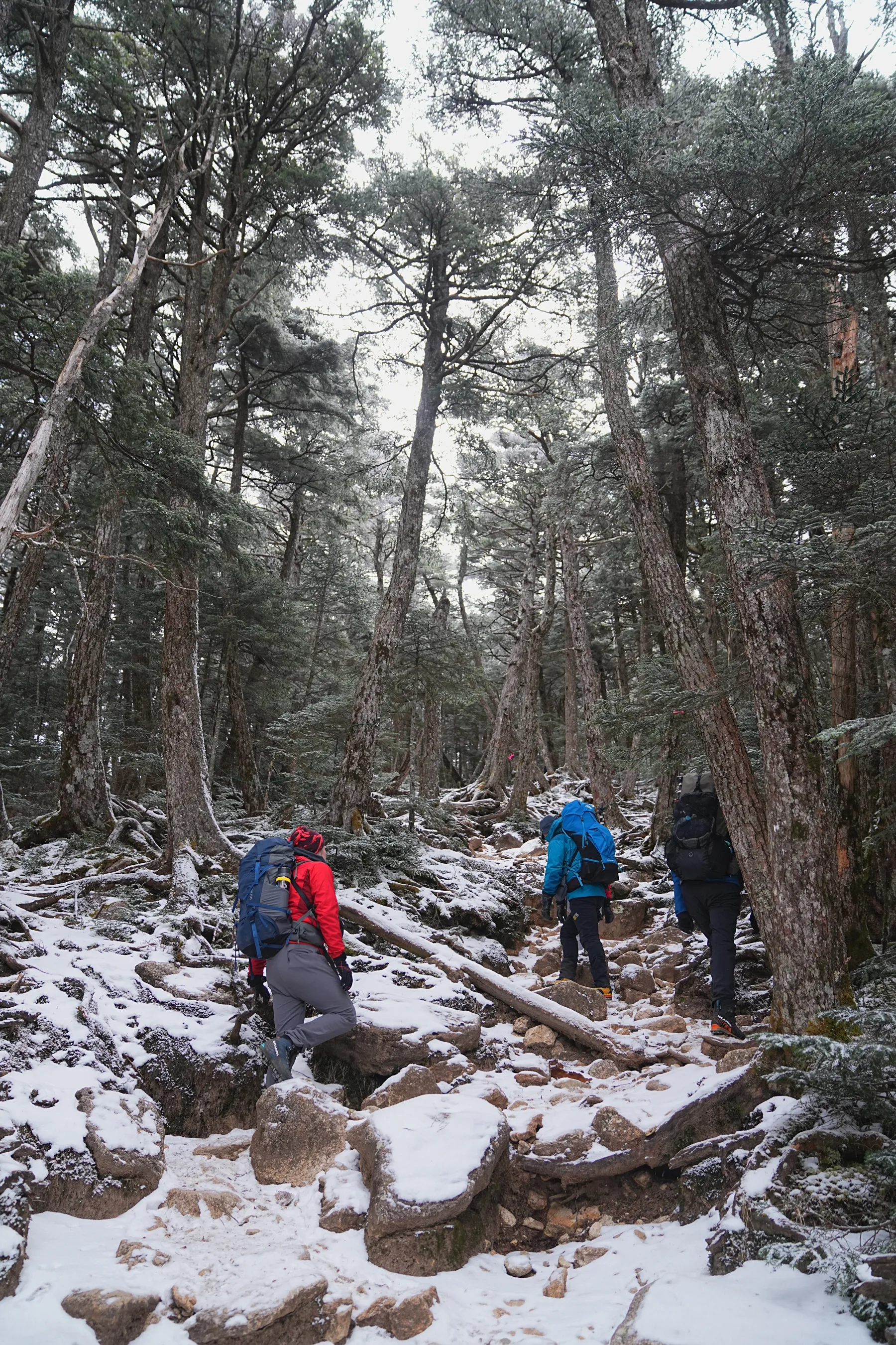 冬の金峰山。金峰山小屋に泊まって山頂で朝日。