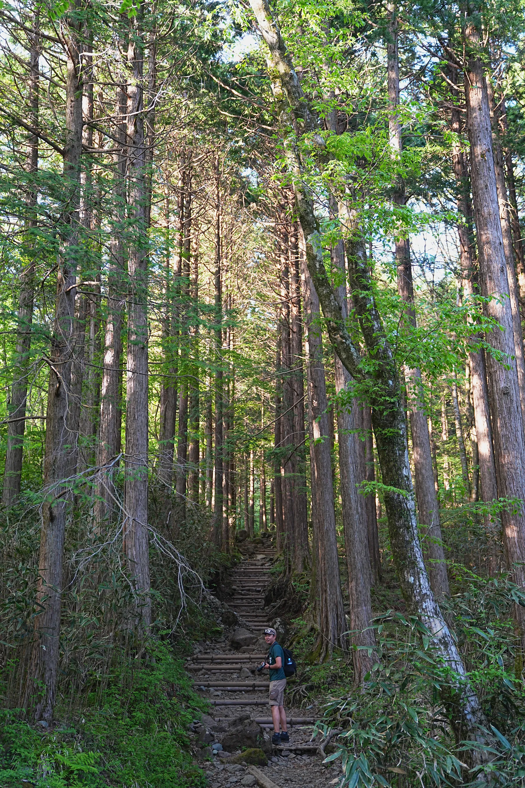 GWの箱根・金時山、夕焼け小焼け登山！