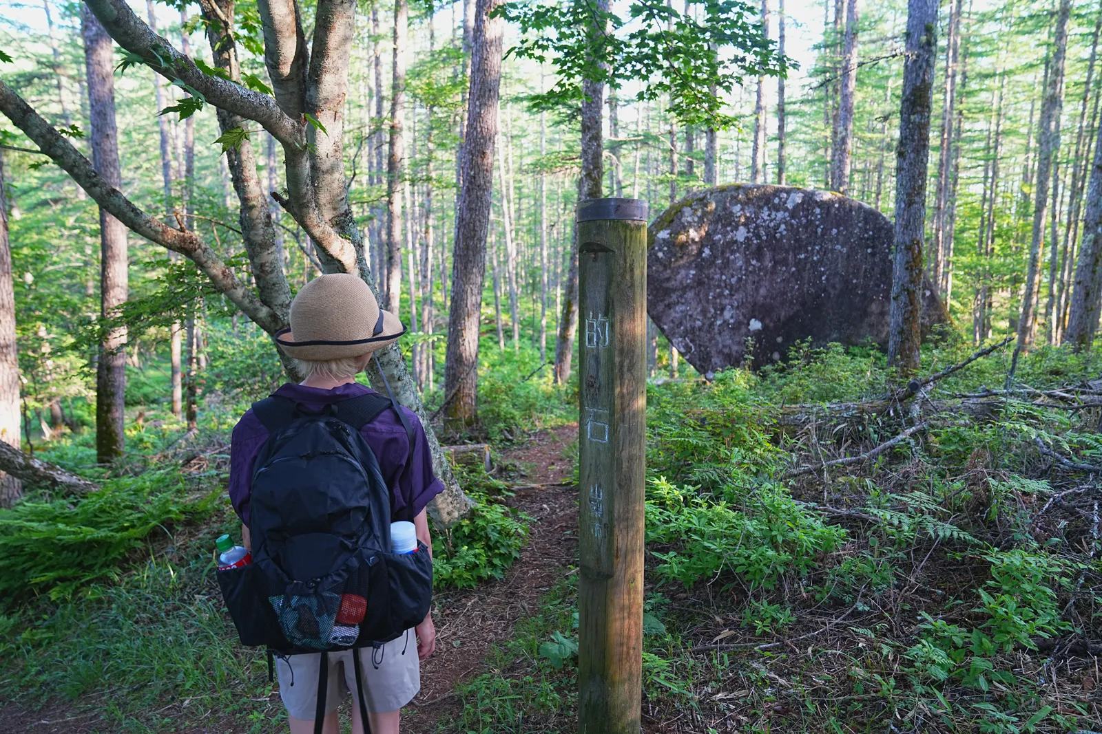 片道1時間で富士山の絶景！山梨「小楢山」日帰り登山