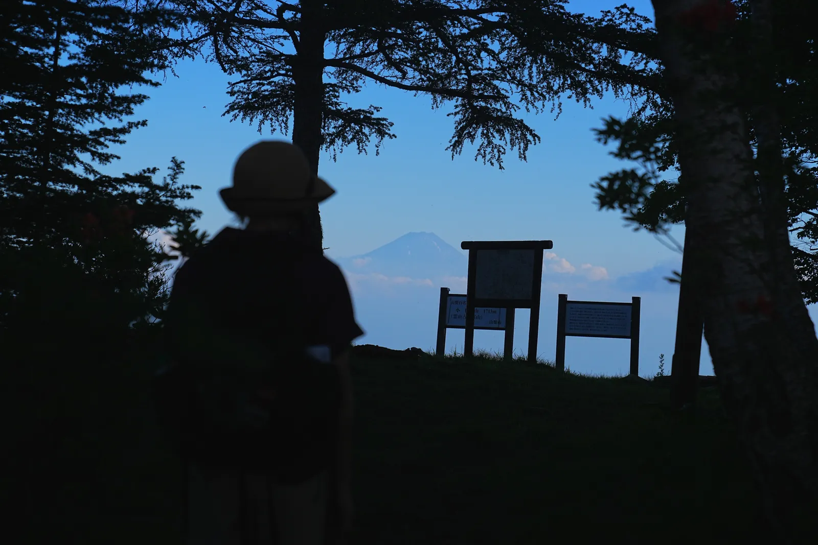 片道1時間で富士山の絶景！山梨「小楢山」日帰り登山