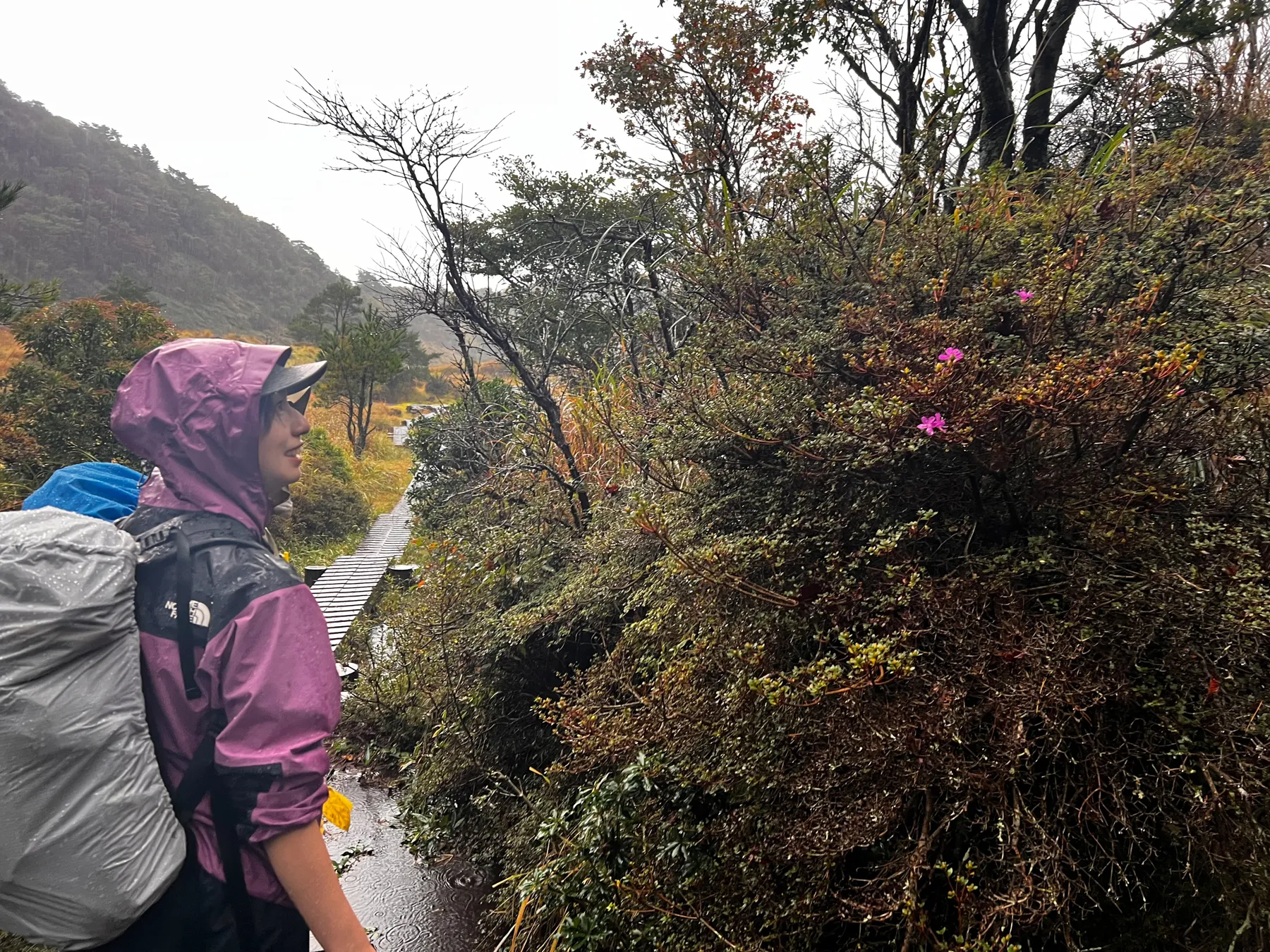 雨の九重からの阿蘇草千里！法華院温泉宿泊レポート